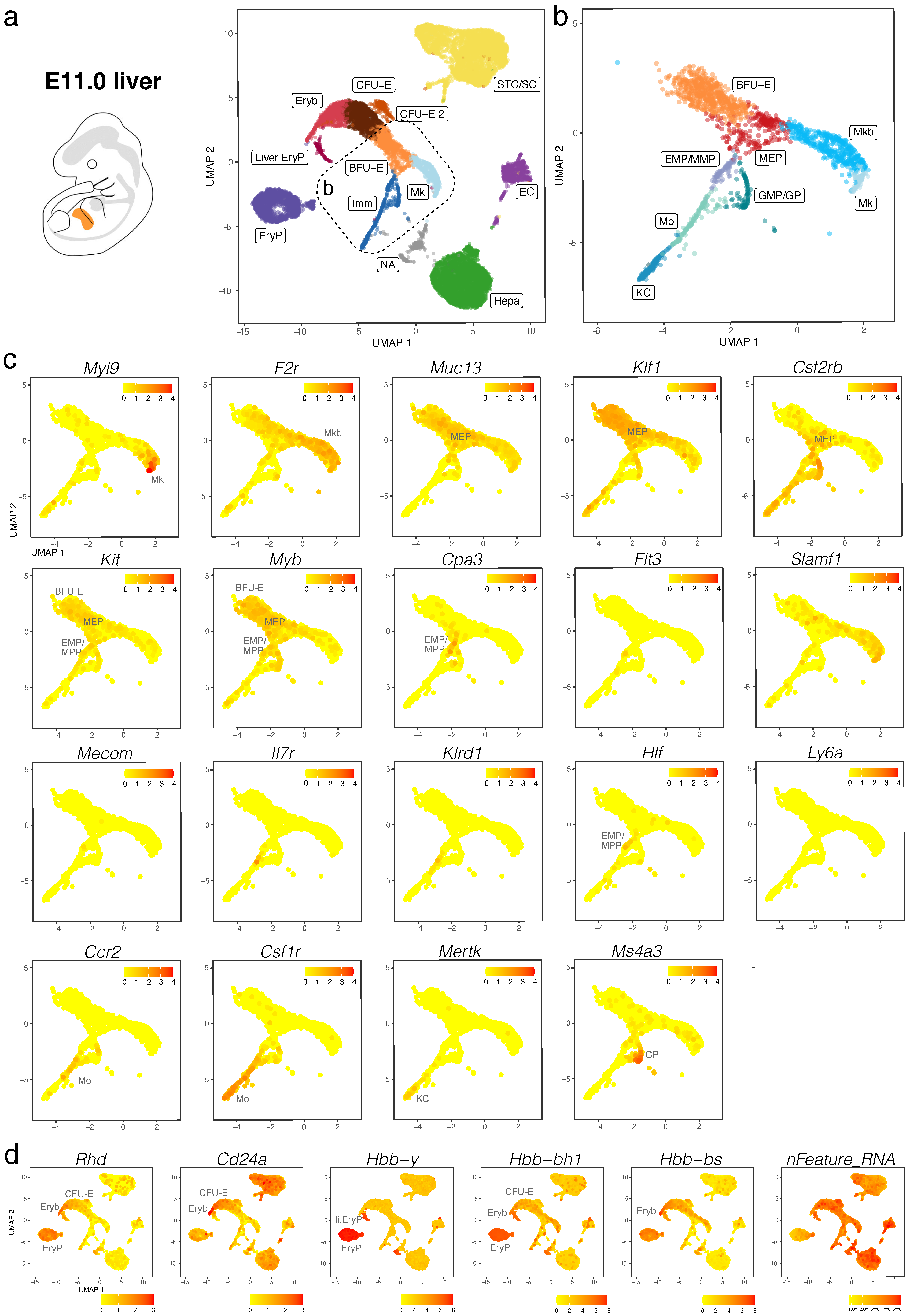 Jdb 11 00015 g005 Jdb 11 00015 g005
