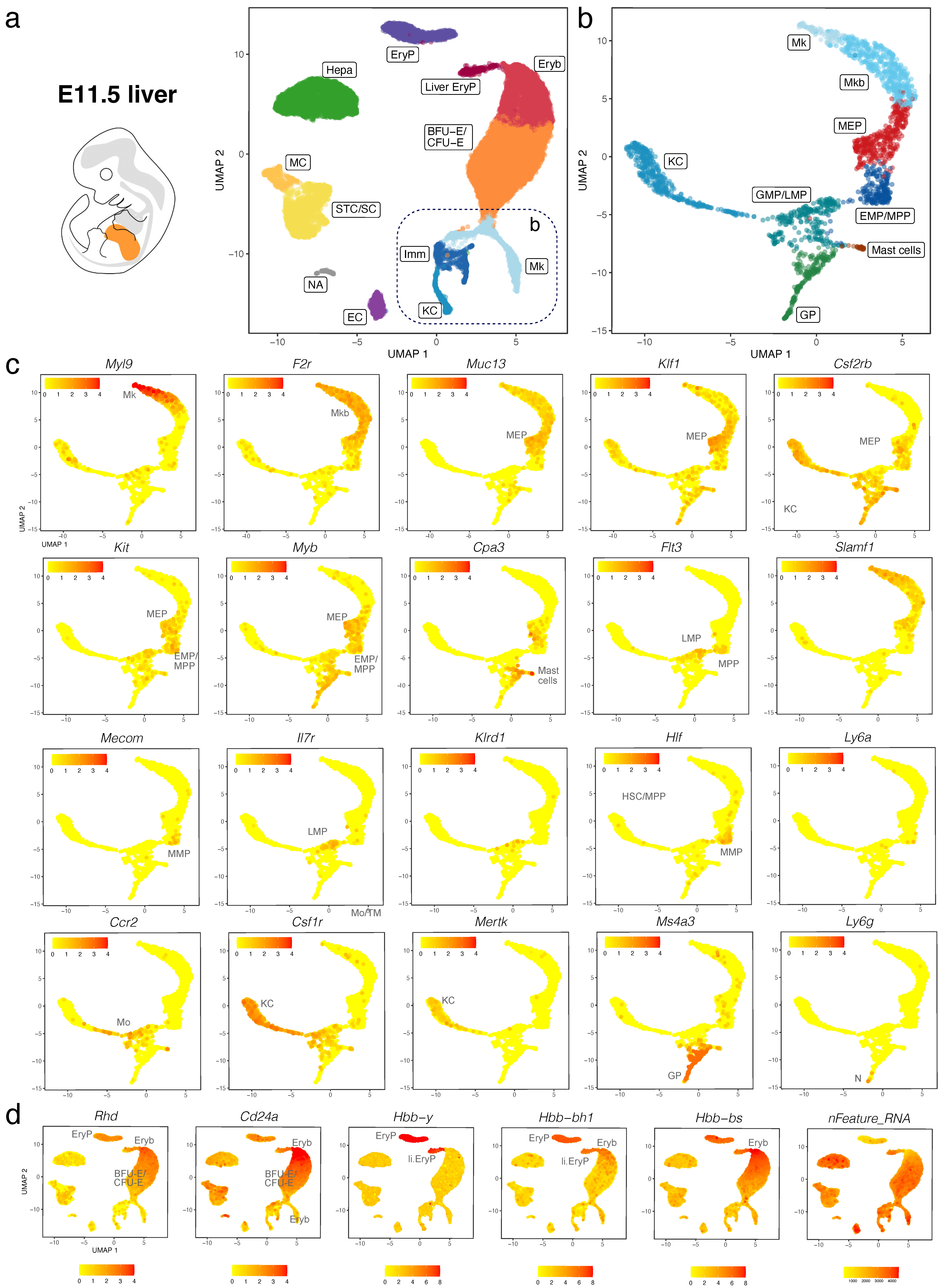 Jdb 11 00015 g006 Jdb 11 00015 g006
