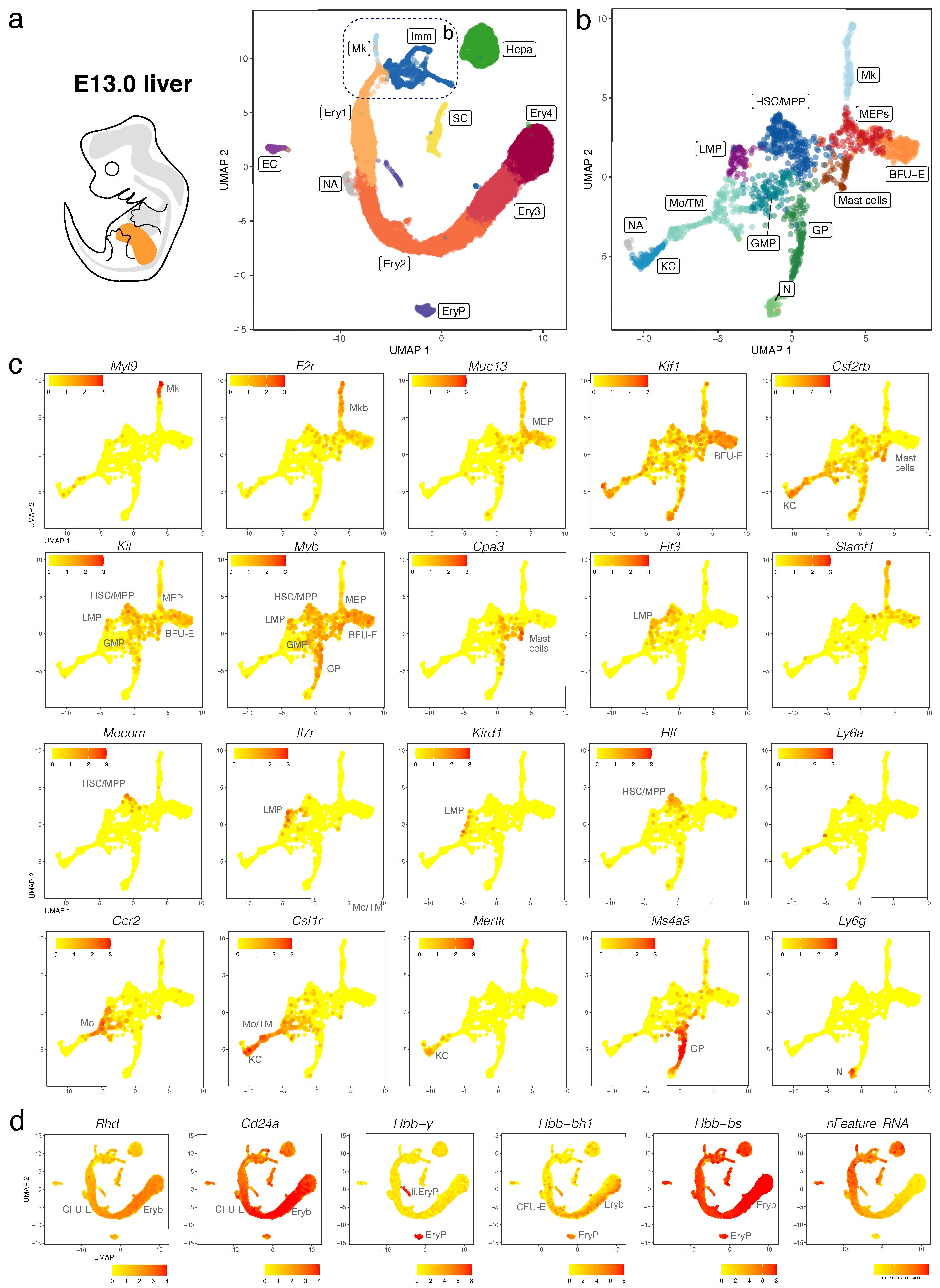 Jdb 11 00015 g007 Jdb 11 00015 g007
