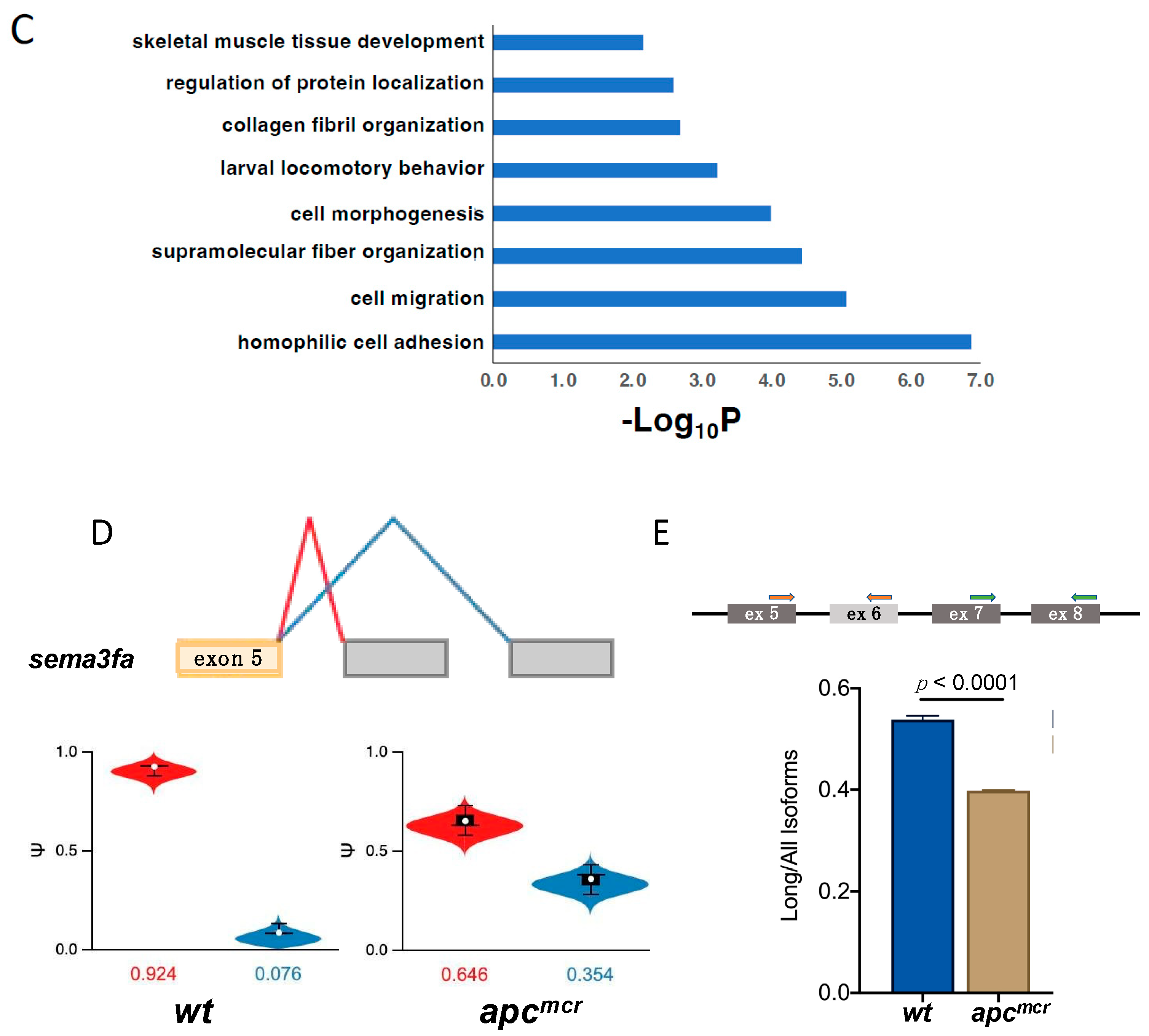 Jdb 11 00029 g004b Jdb 11 00029 g004b