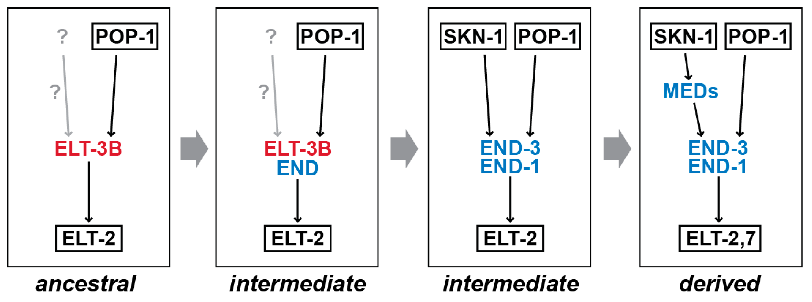 Jdb 11 00032 g007 Jdb 11 00032 g007