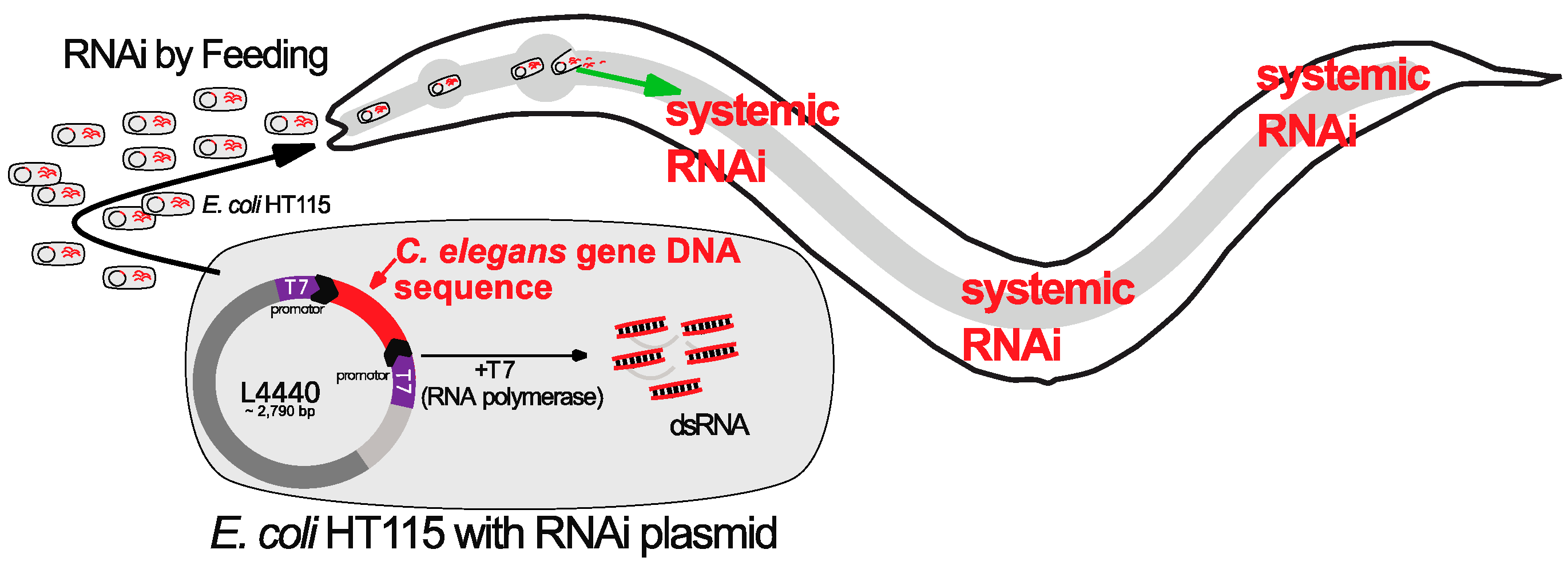 Jdb 11 00037 g002 Jdb 11 00037 g002