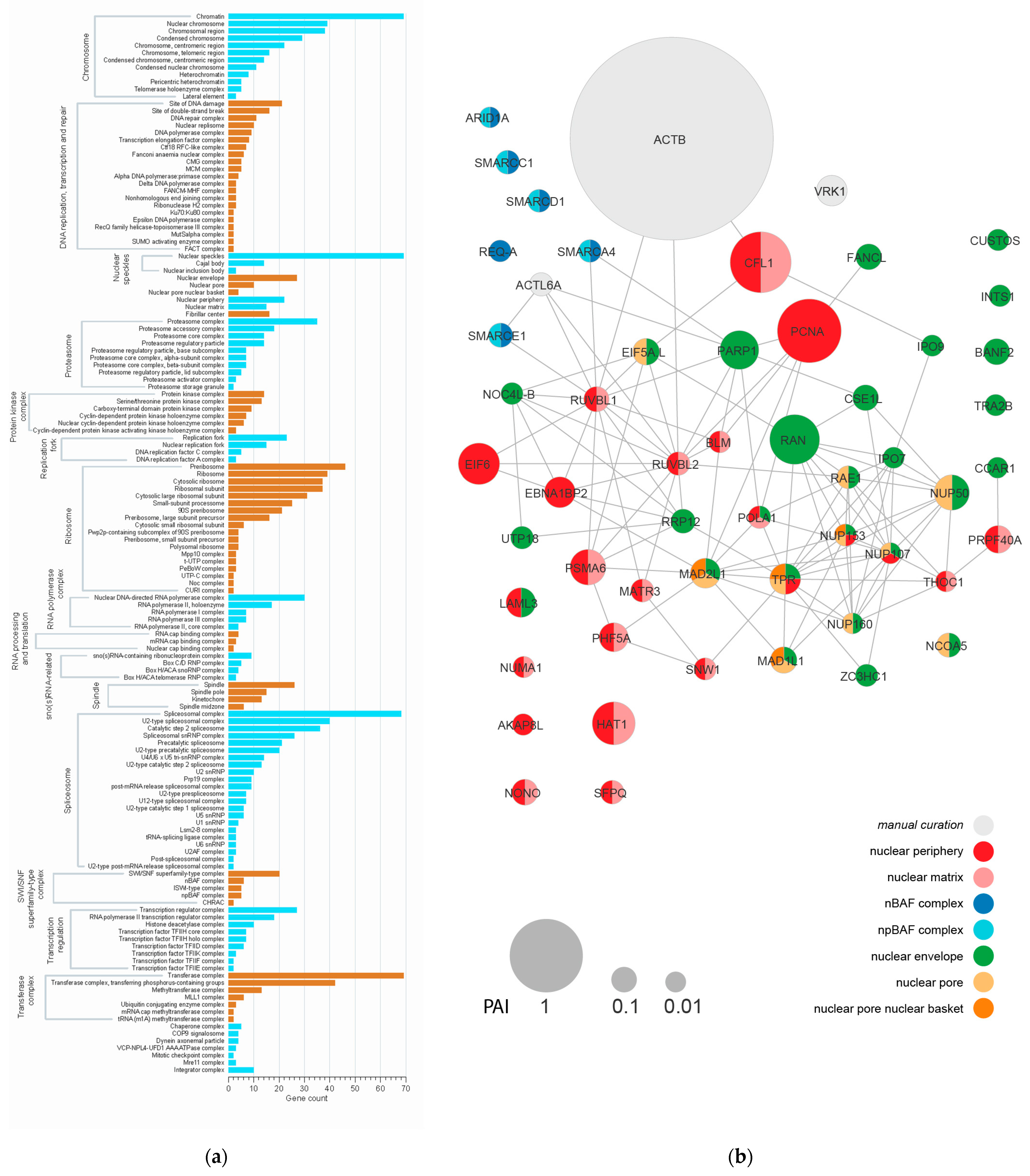 Jdb 11 00044 g002 Jdb 11 00044 g002