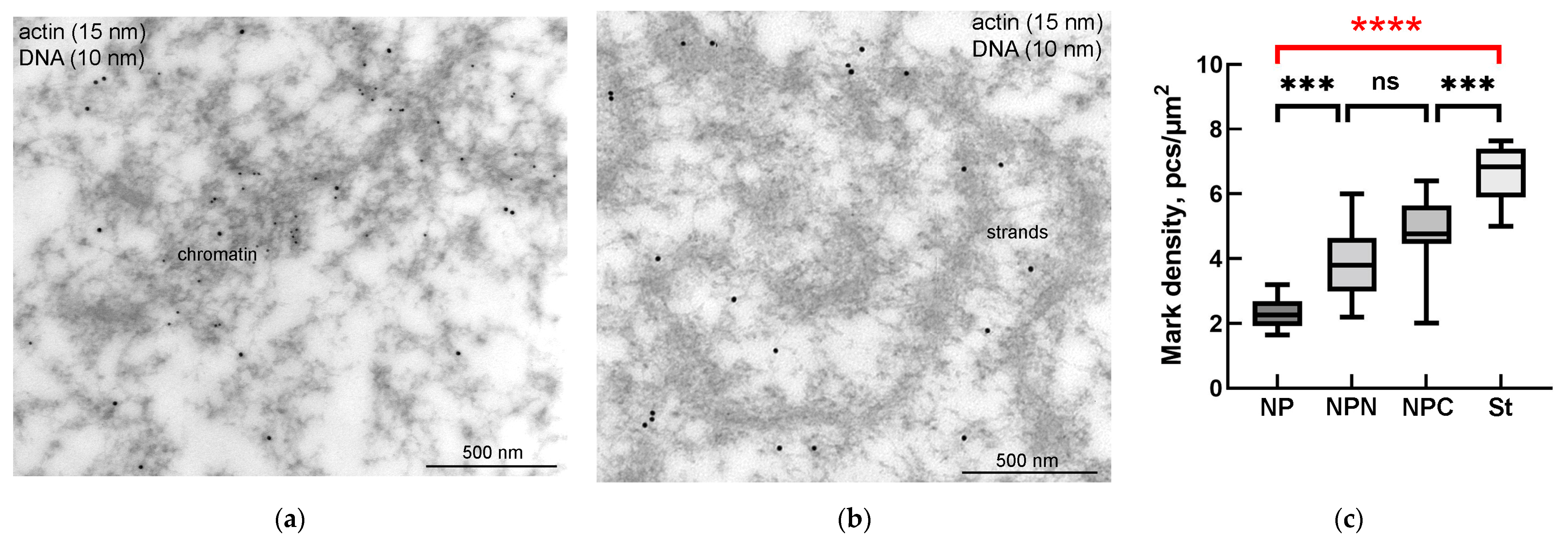 Jdb 11 00044 g006 Jdb 11 00044 g006