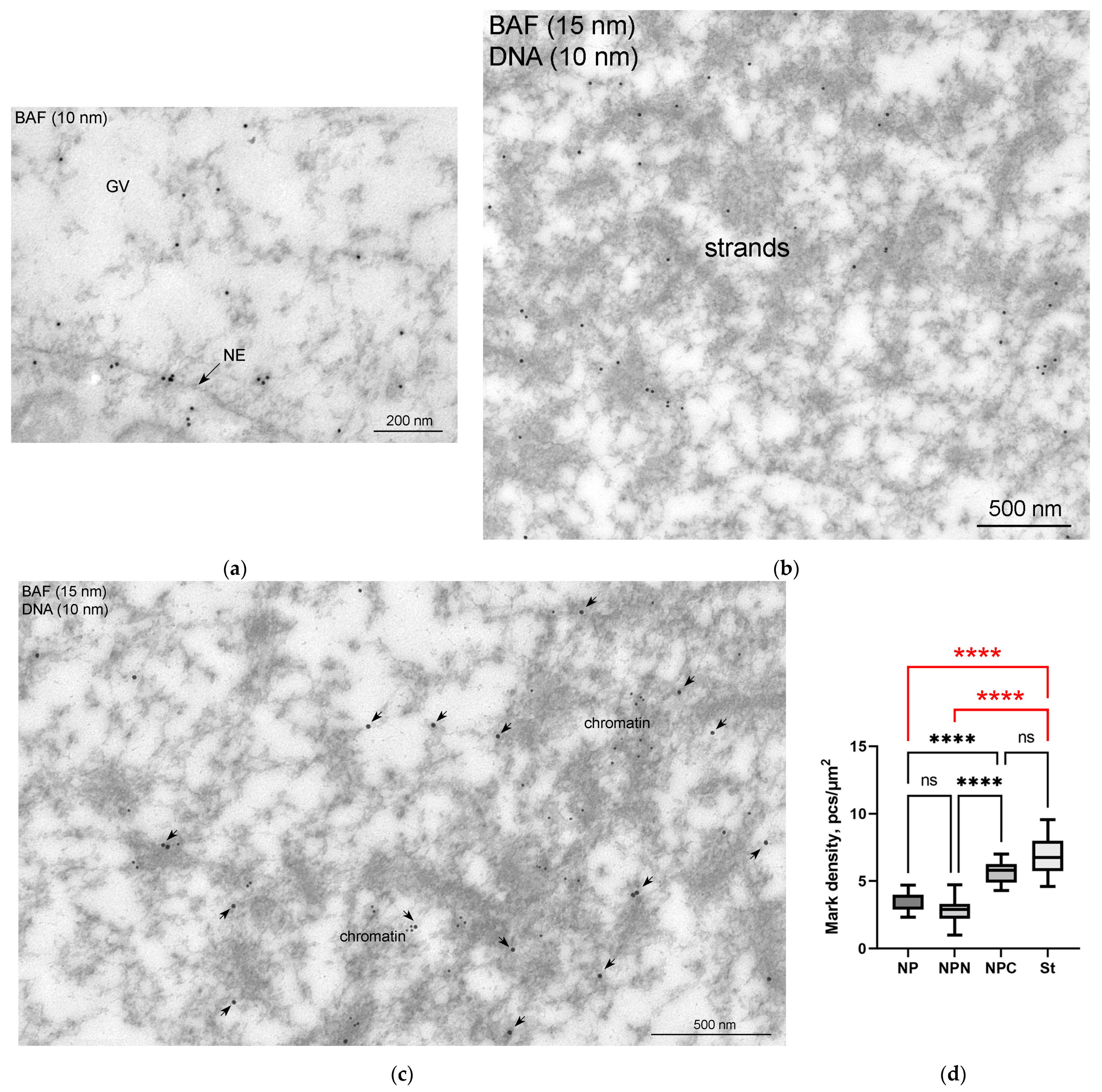 Jdb 11 00044 g011 Jdb 11 00044 g011