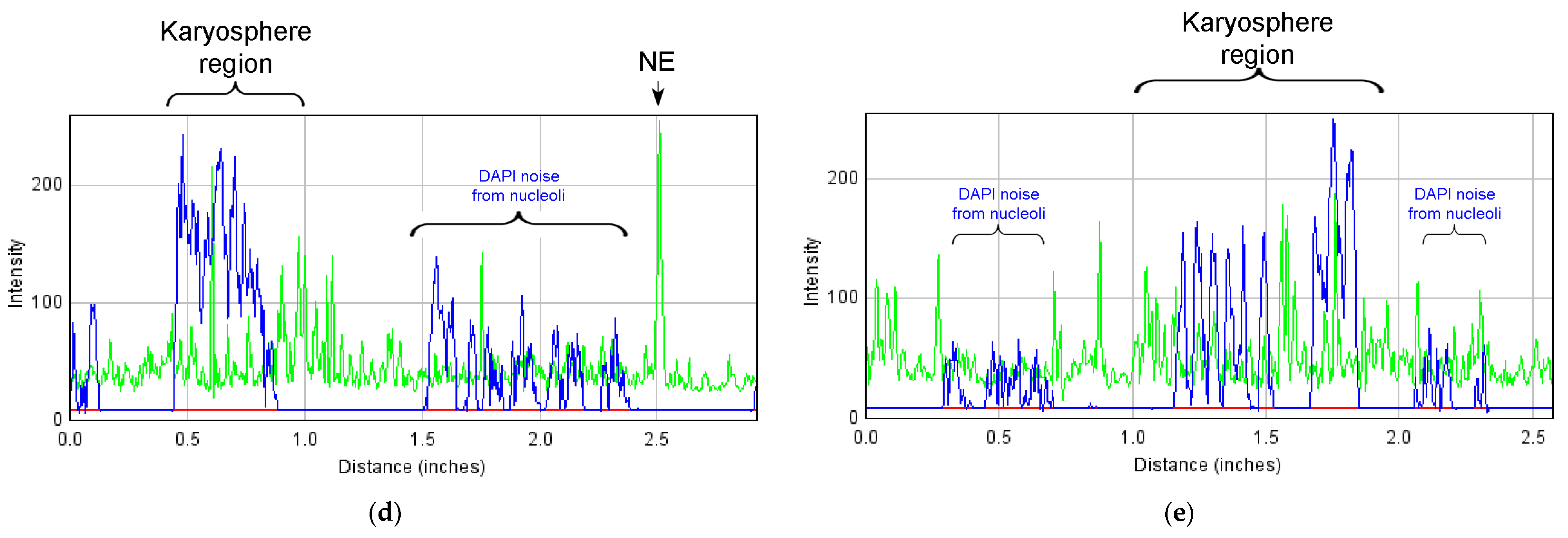 Jdb 11 00044 g012b Jdb 11 00044 g012b