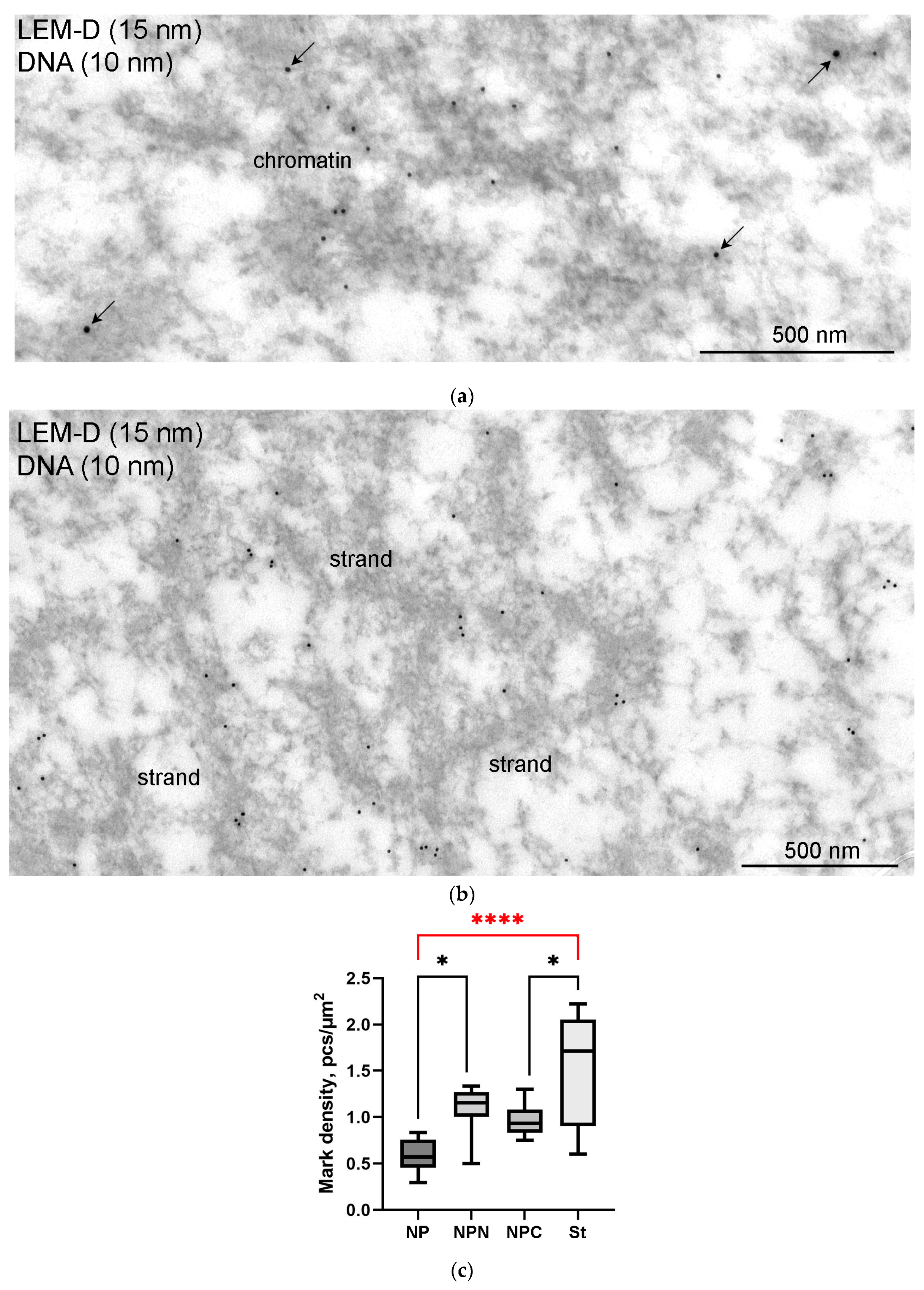 Jdb 11 00044 g013 Jdb 11 00044 g013