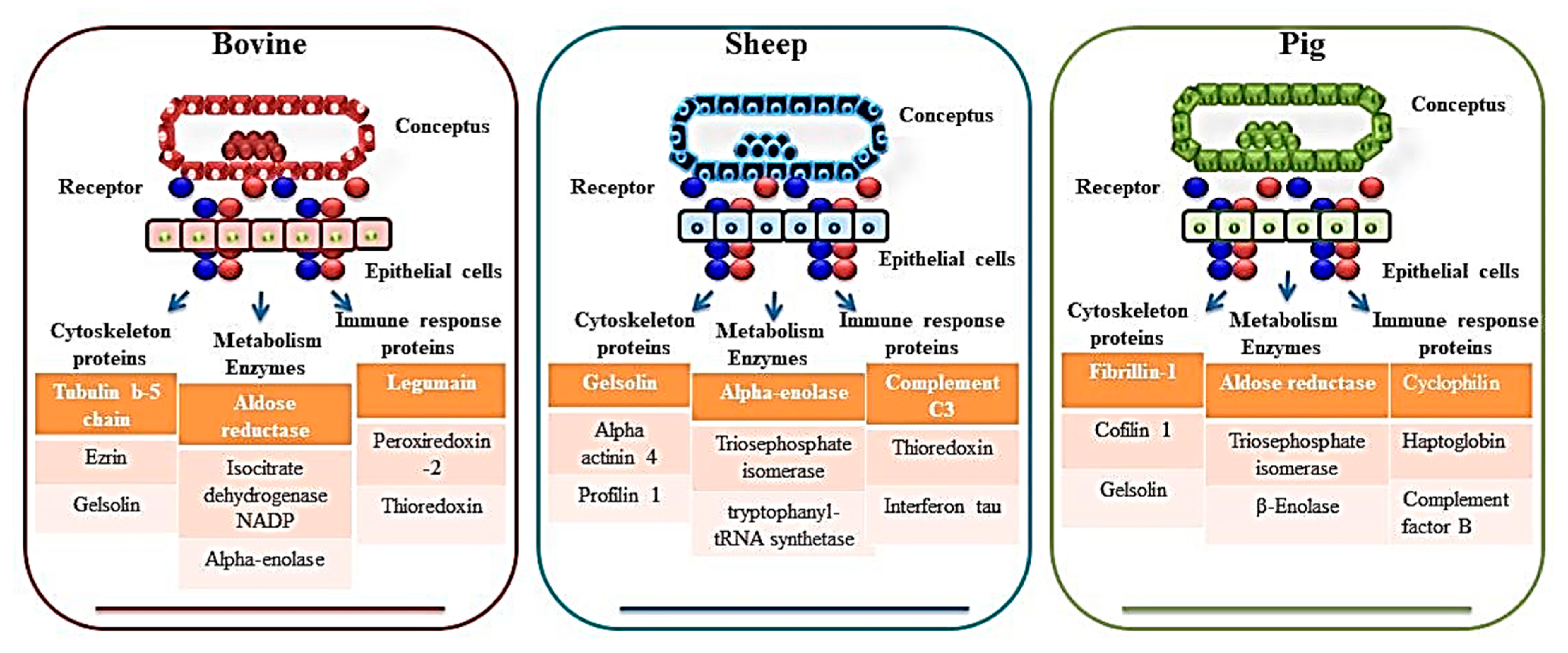 Jdb 12 00002 g003 Jdb 12 00002 g003