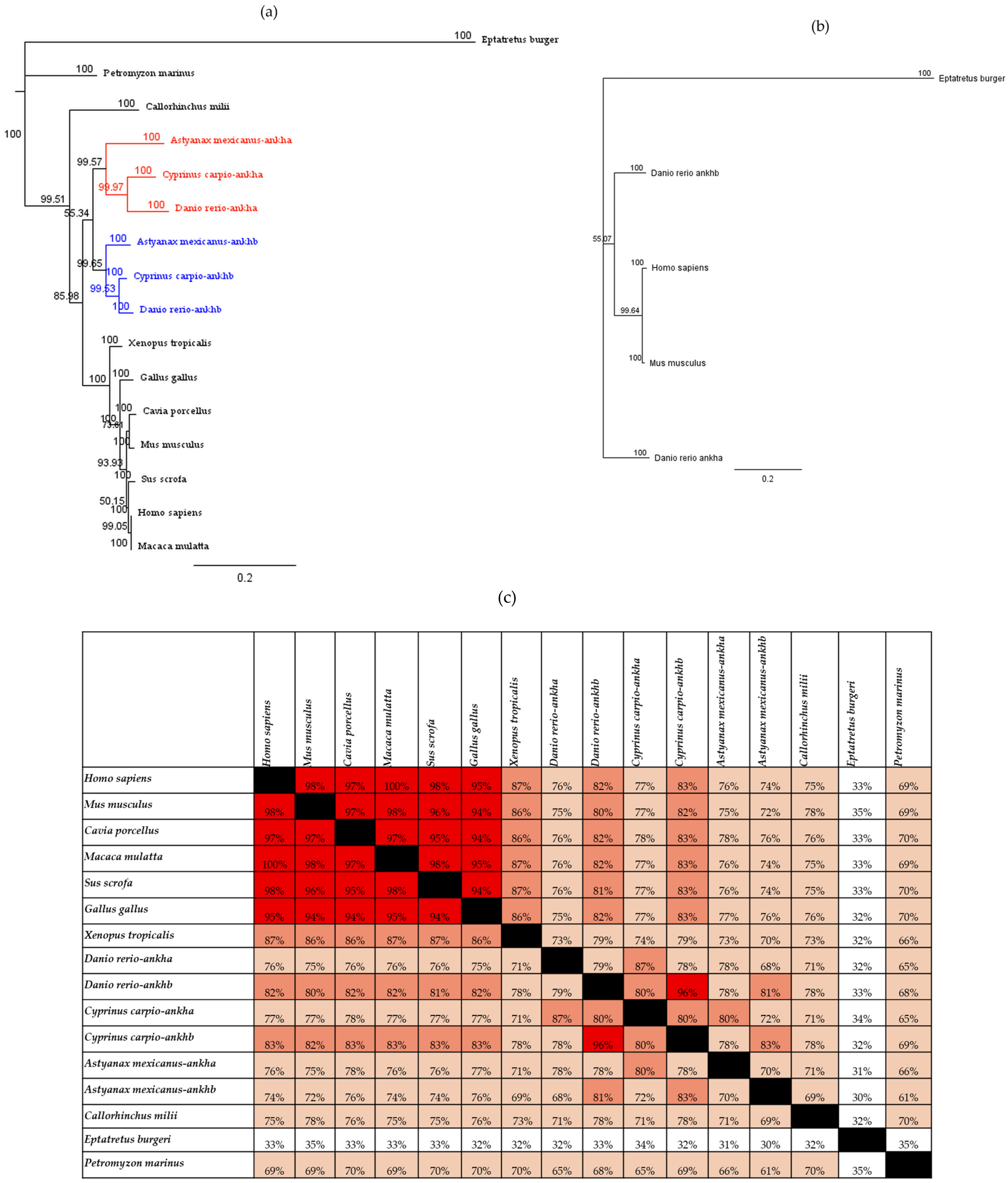 Jdb 12 00023 g001 Jdb 12 00023 g001