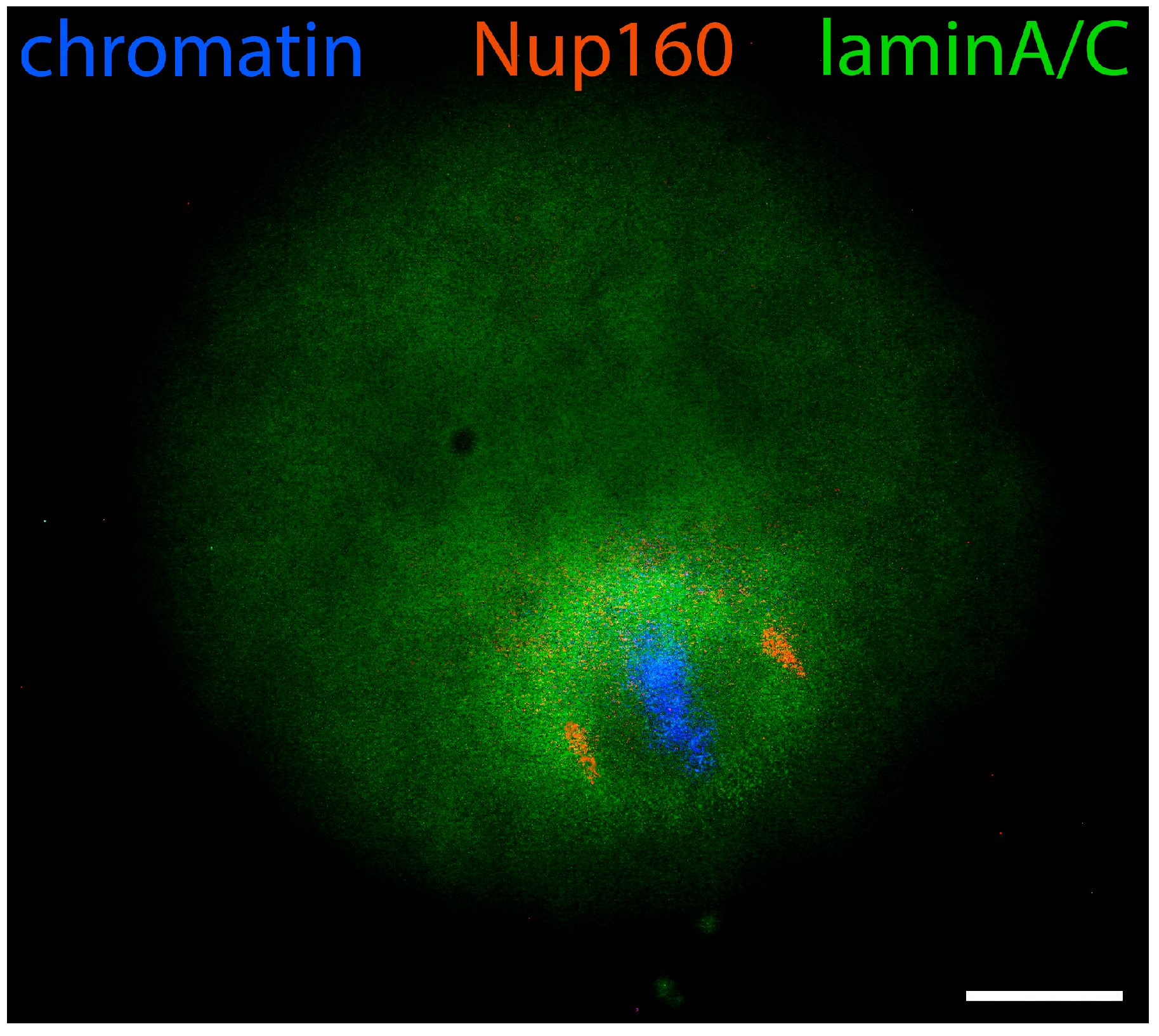 Jdb 12 00028 g013 Jdb 12 00028 g013