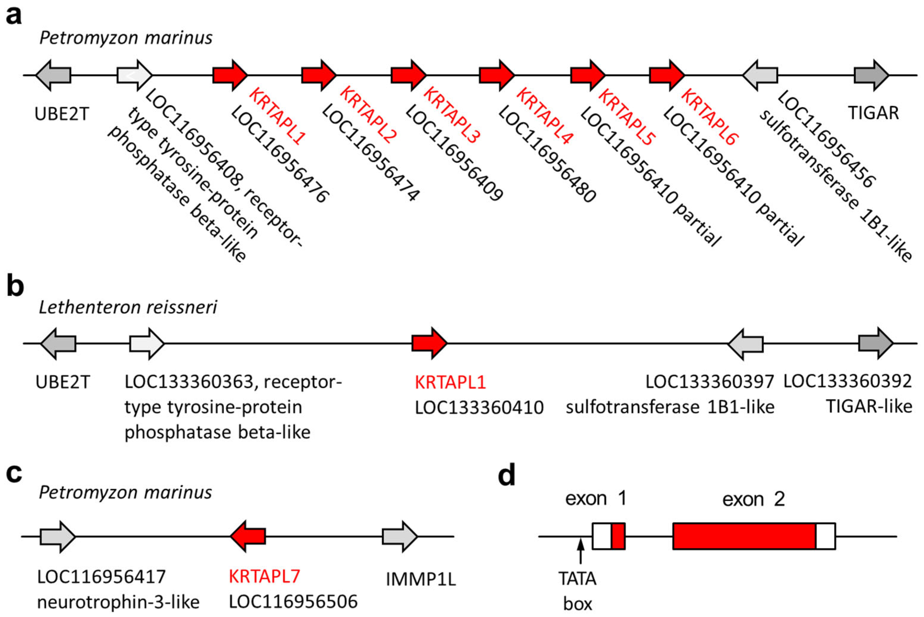 Jdb 13 00018 g002 Jdb 13 00018 g002