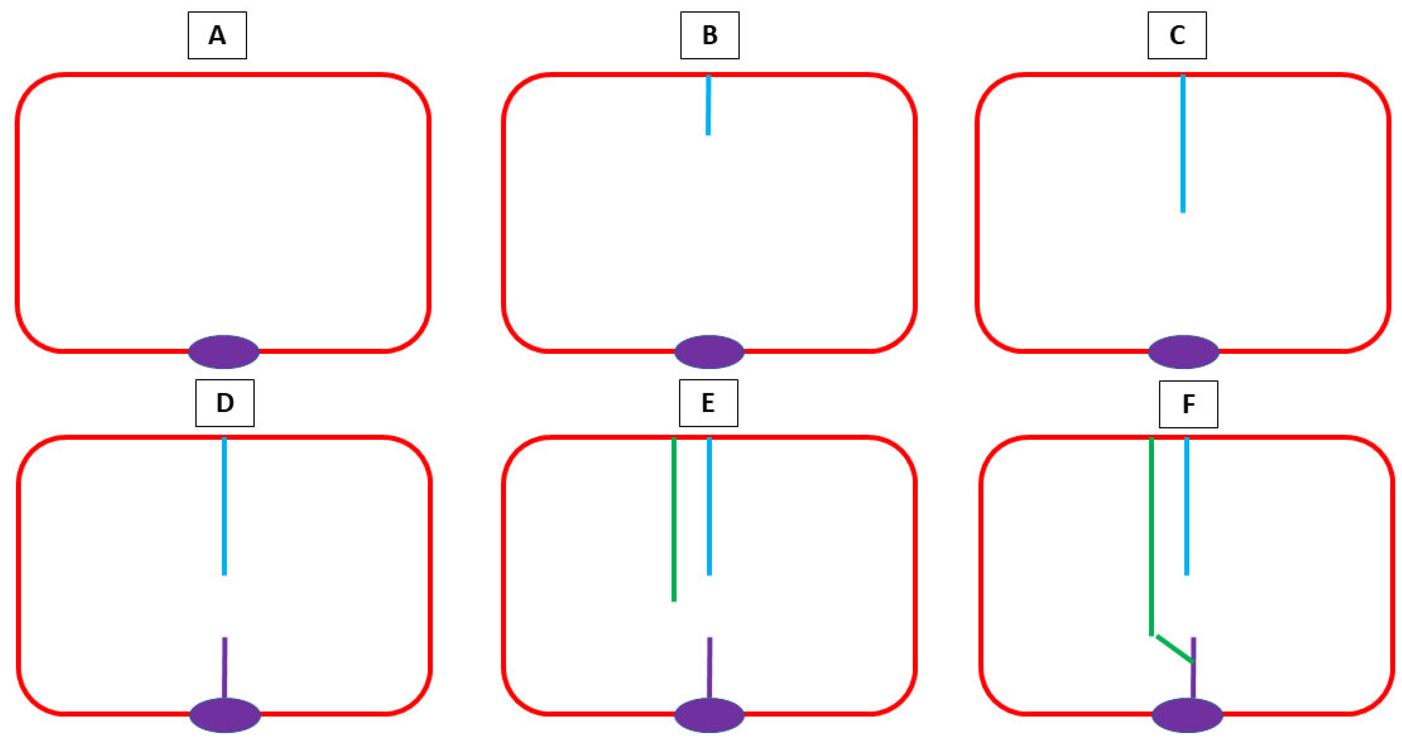 Jdb 13 00028 g001 Jdb 13 00028 g001