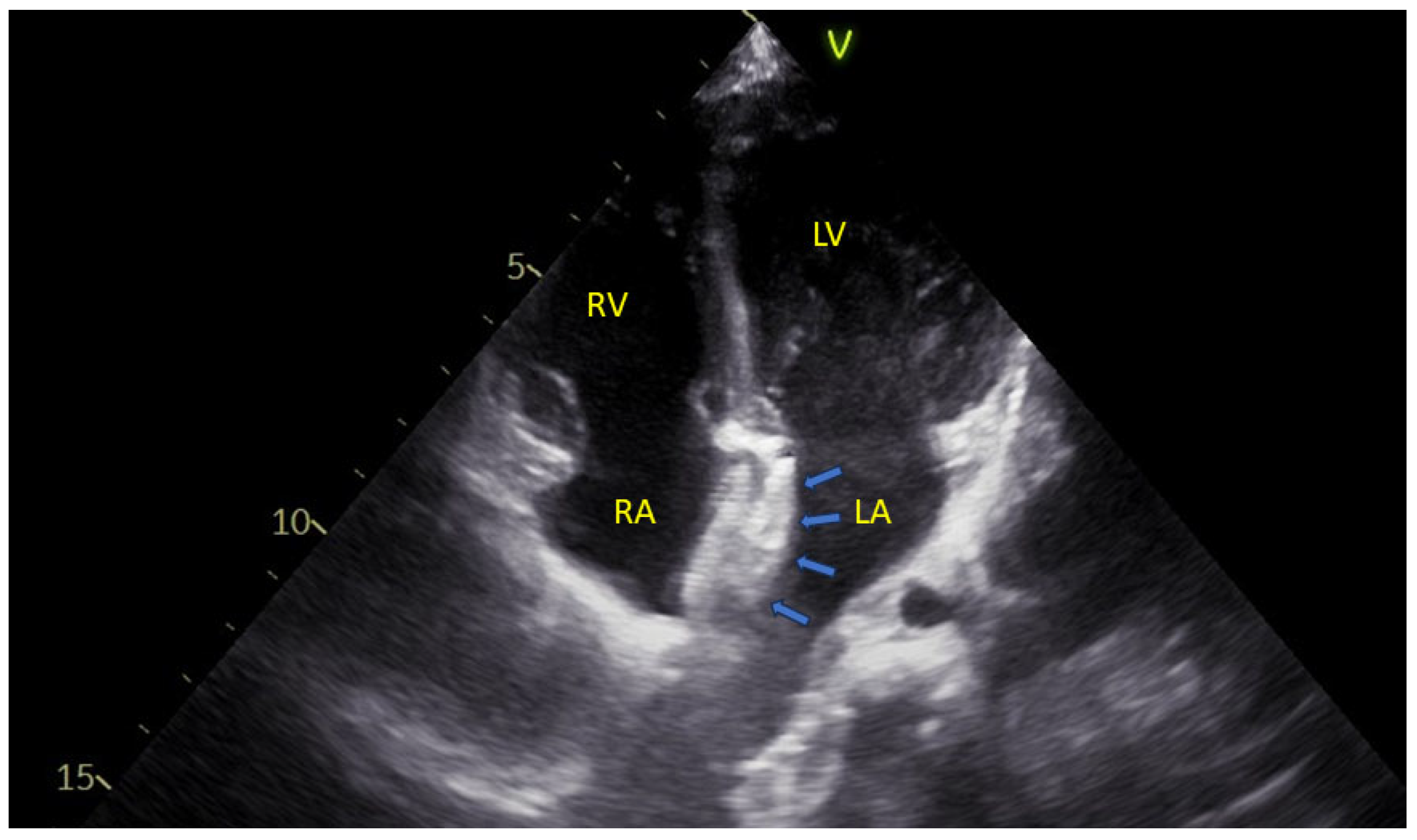 Jdb 13 00028 g002 Jdb 13 00028 g002