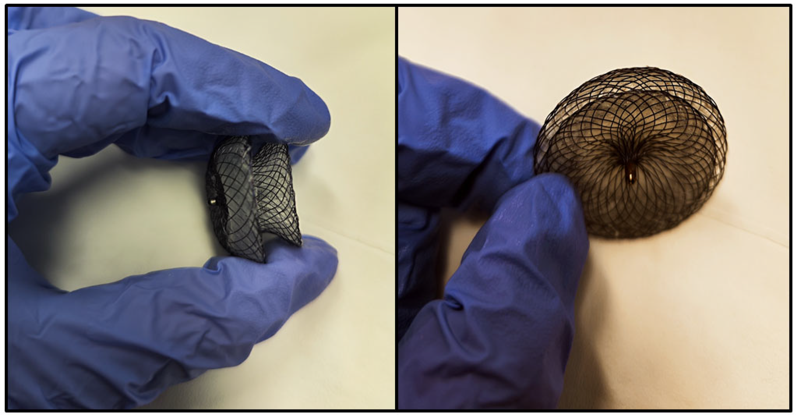 Jdb 13 00028 g003 Jdb 13 00028 g003