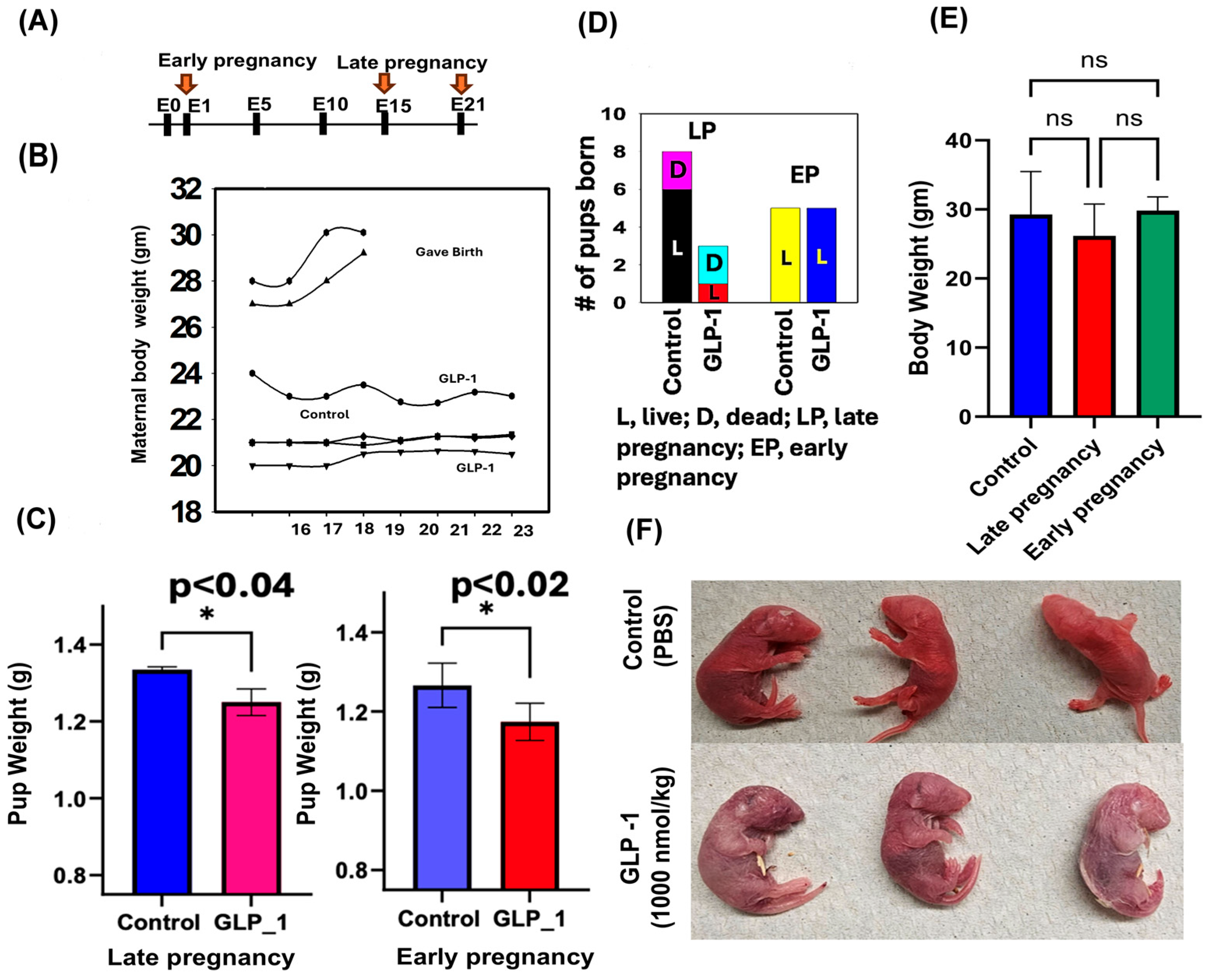 Jdb 13 00029 g001 Jdb 13 00029 g001