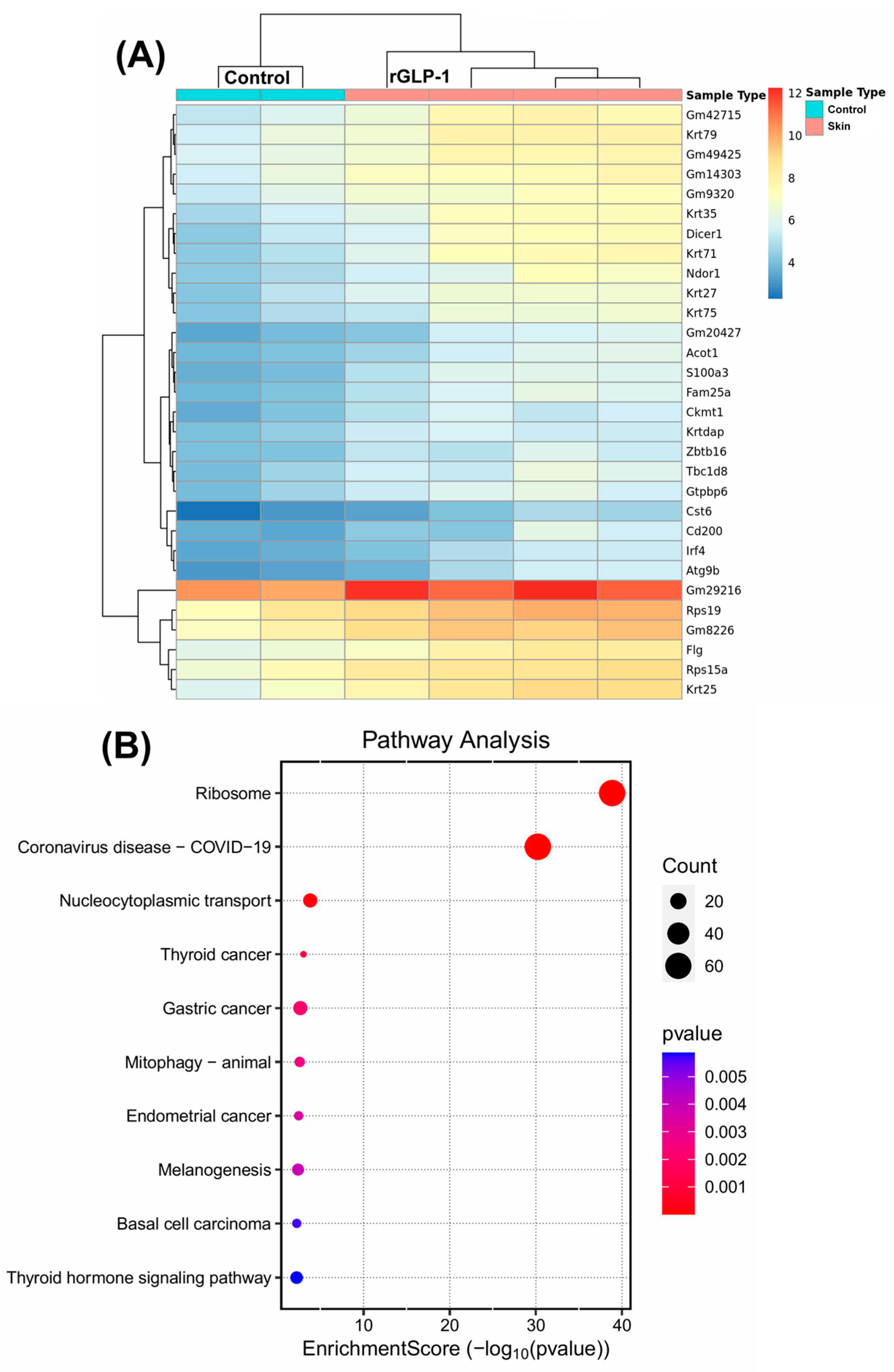 Jdb 13 00029 g002 Jdb 13 00029 g002