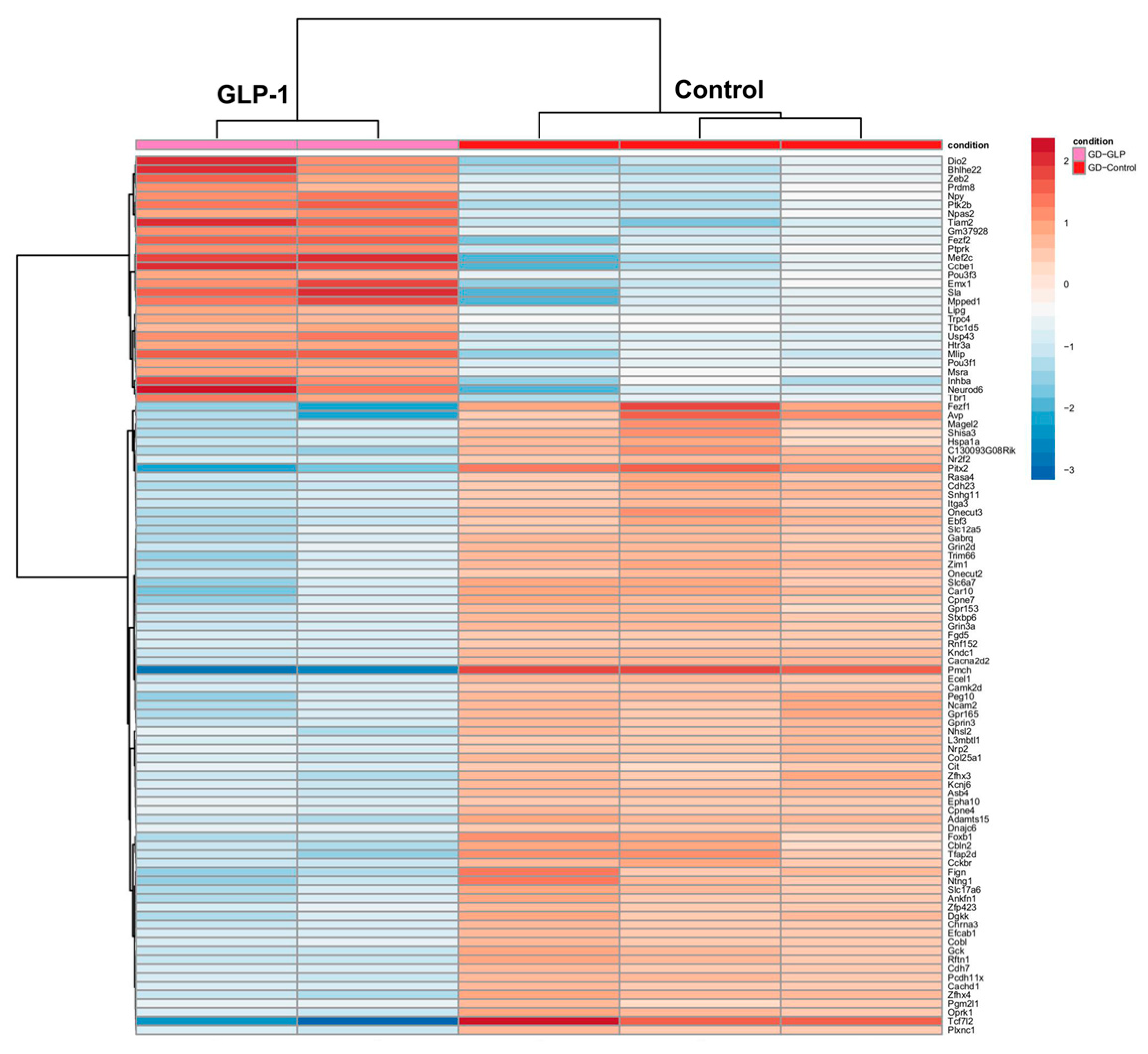 Jdb 13 00029 g003 Jdb 13 00029 g003