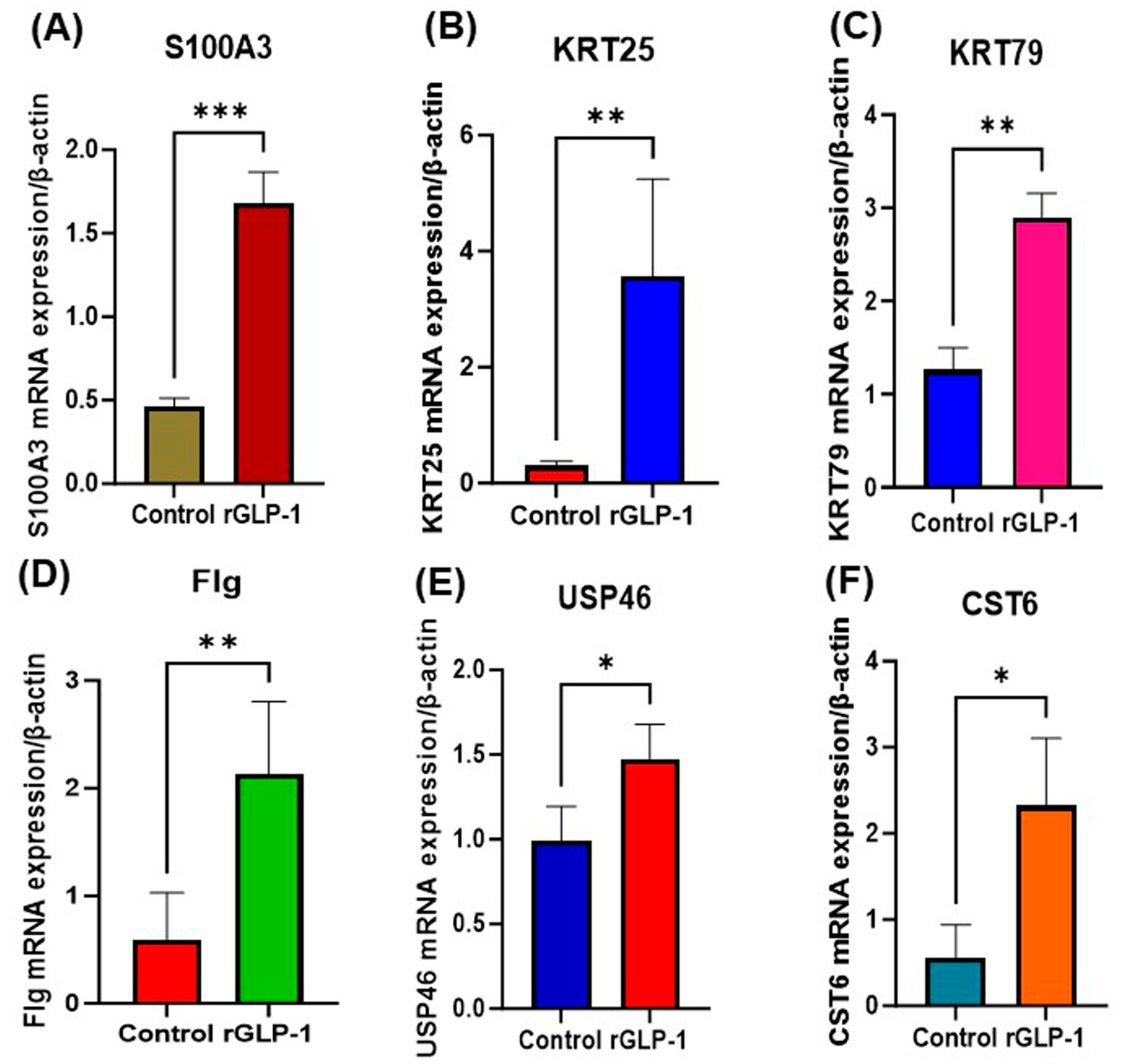 Jdb 13 00029 g006 Jdb 13 00029 g006