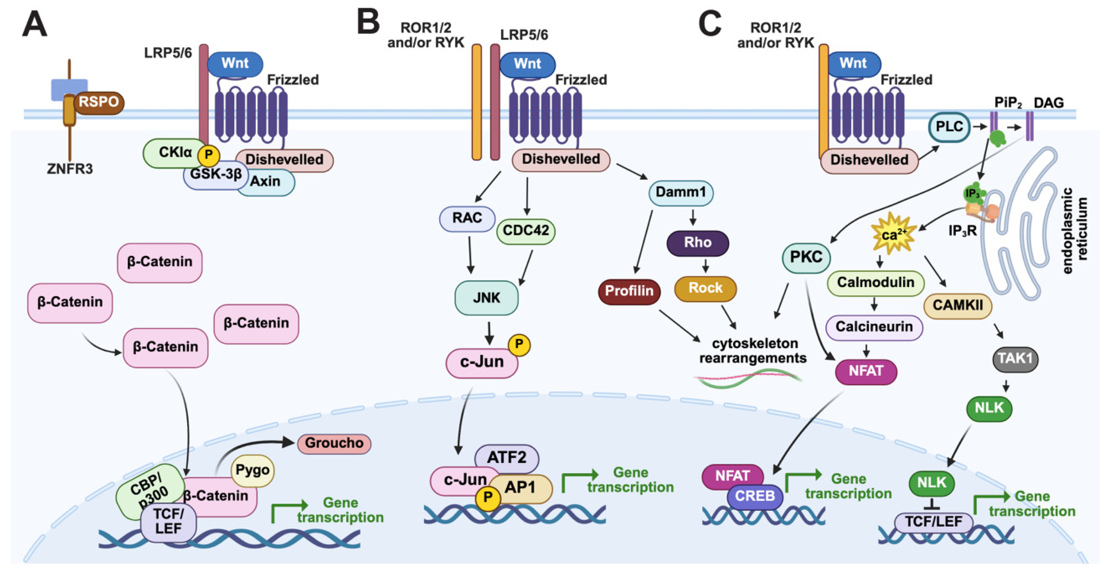 Jdb 13 00036 g001 Jdb 13 00036 g001