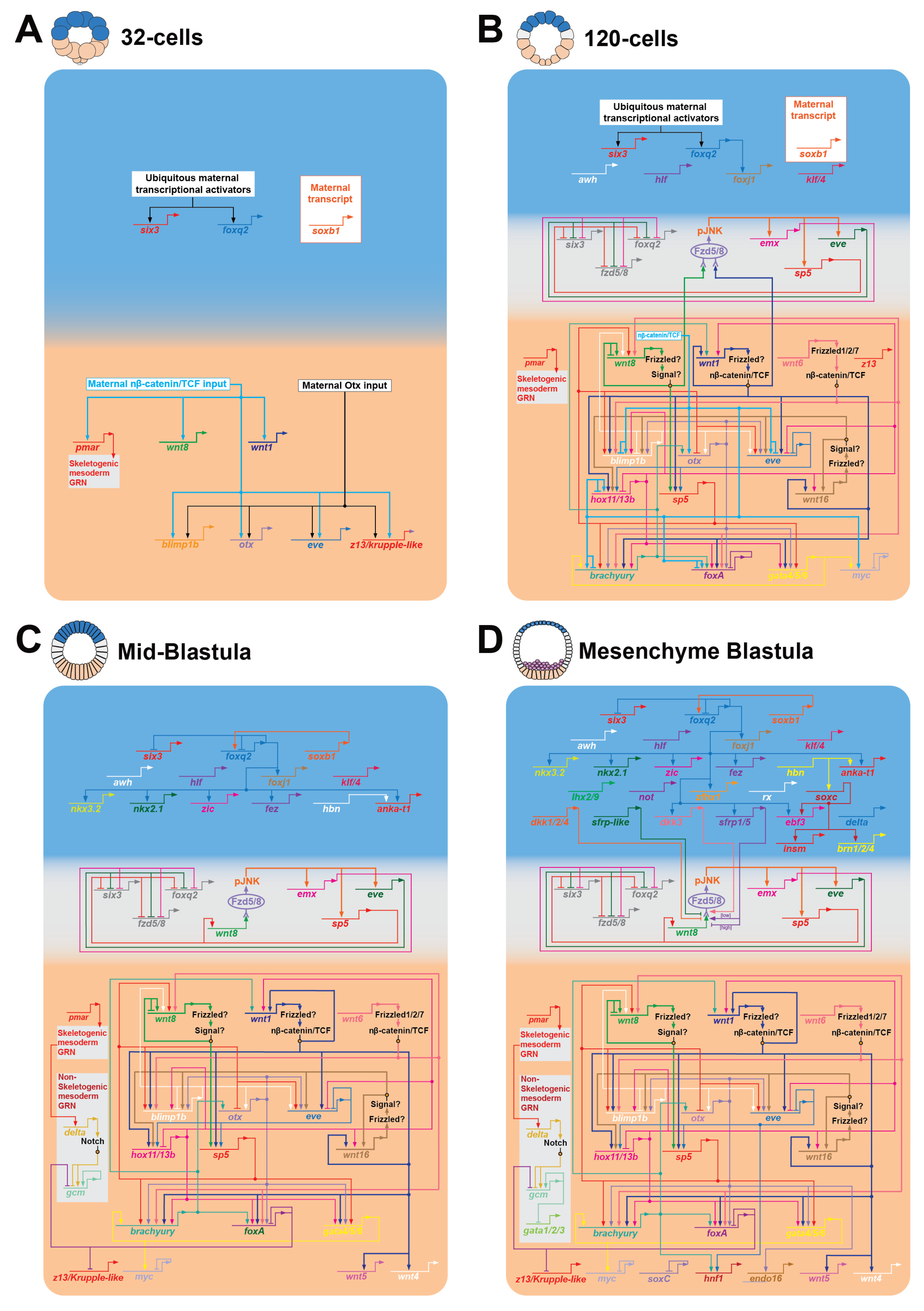 Jdb 13 00036 g003 Jdb 13 00036 g003