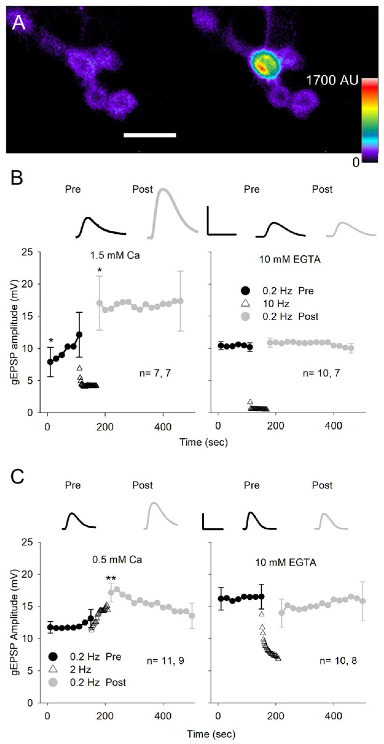 Jdb 13 00038 g007 Jdb 13 00038 g007