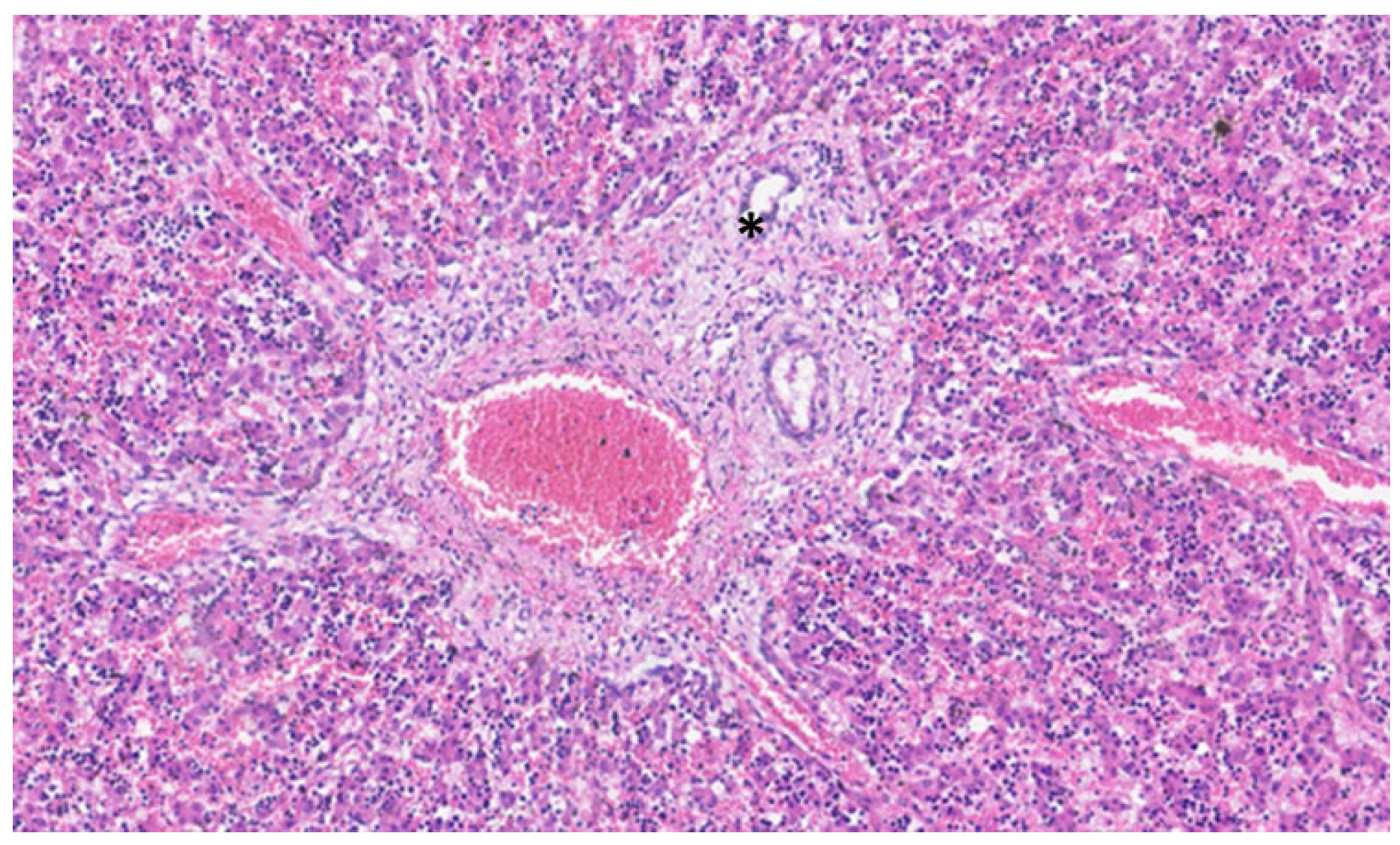 Jdb 13 00039 g003 Jdb 13 00039 g003