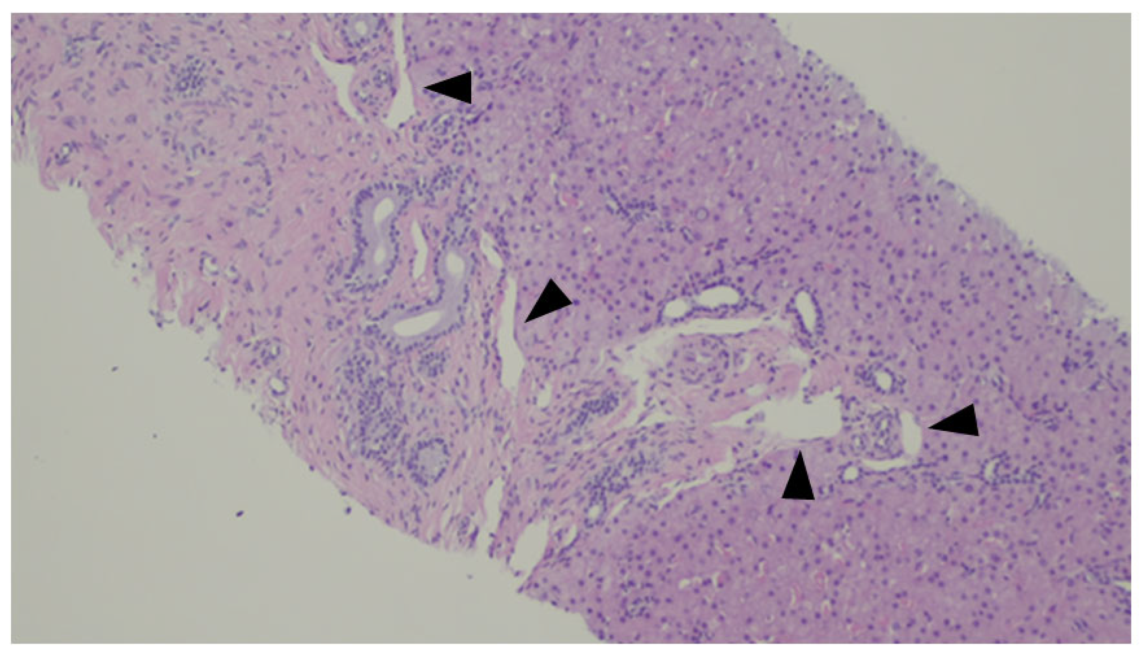 Jdb 13 00039 g008 Jdb 13 00039 g008