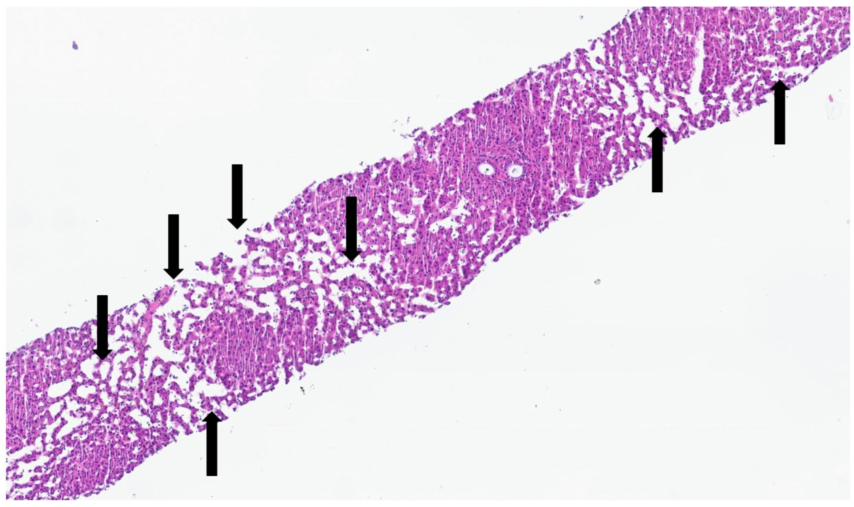 Jdb 13 00039 g009 Jdb 13 00039 g009