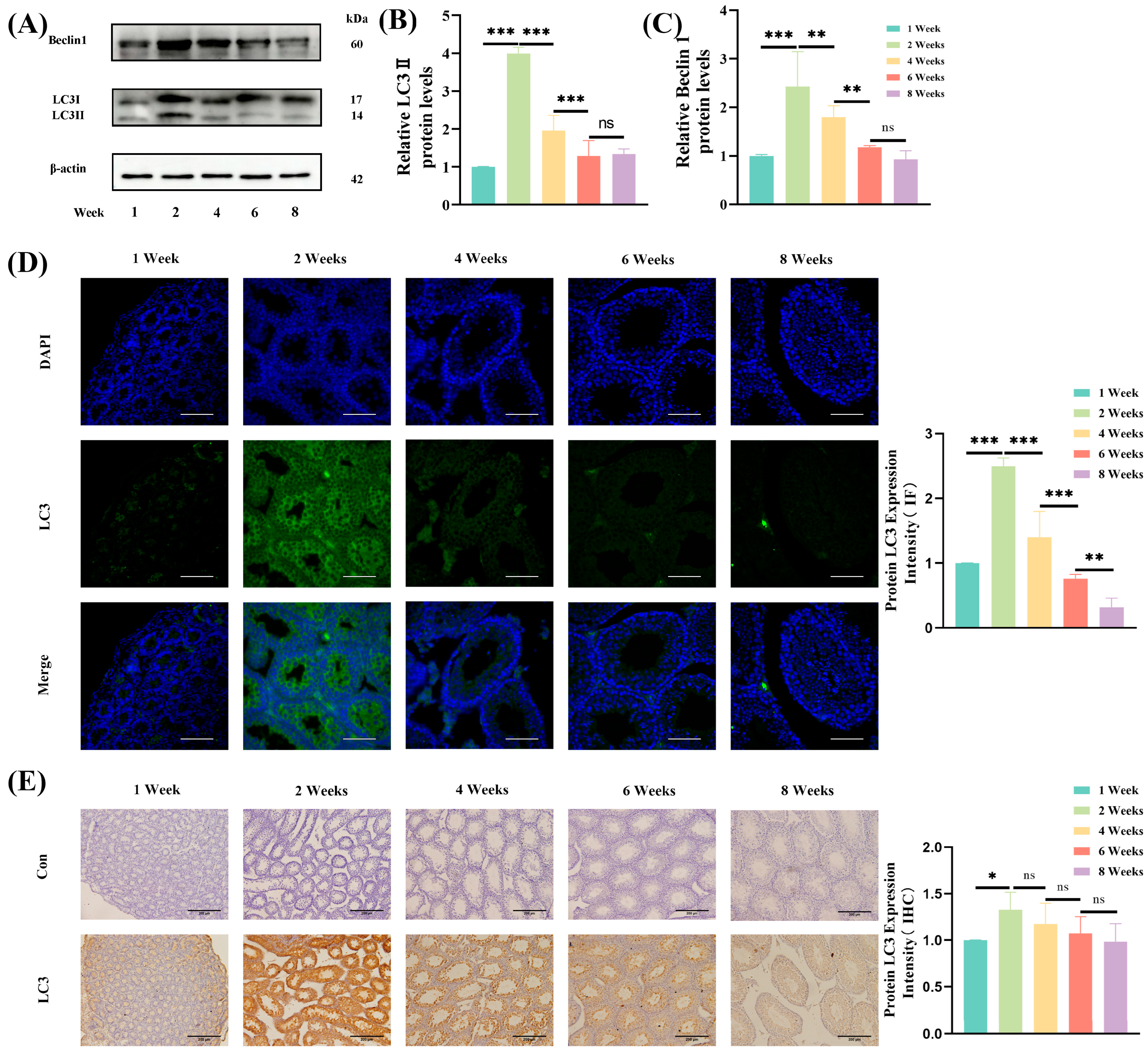 Jdb 13 00042 g004 Jdb 13 00042 g004