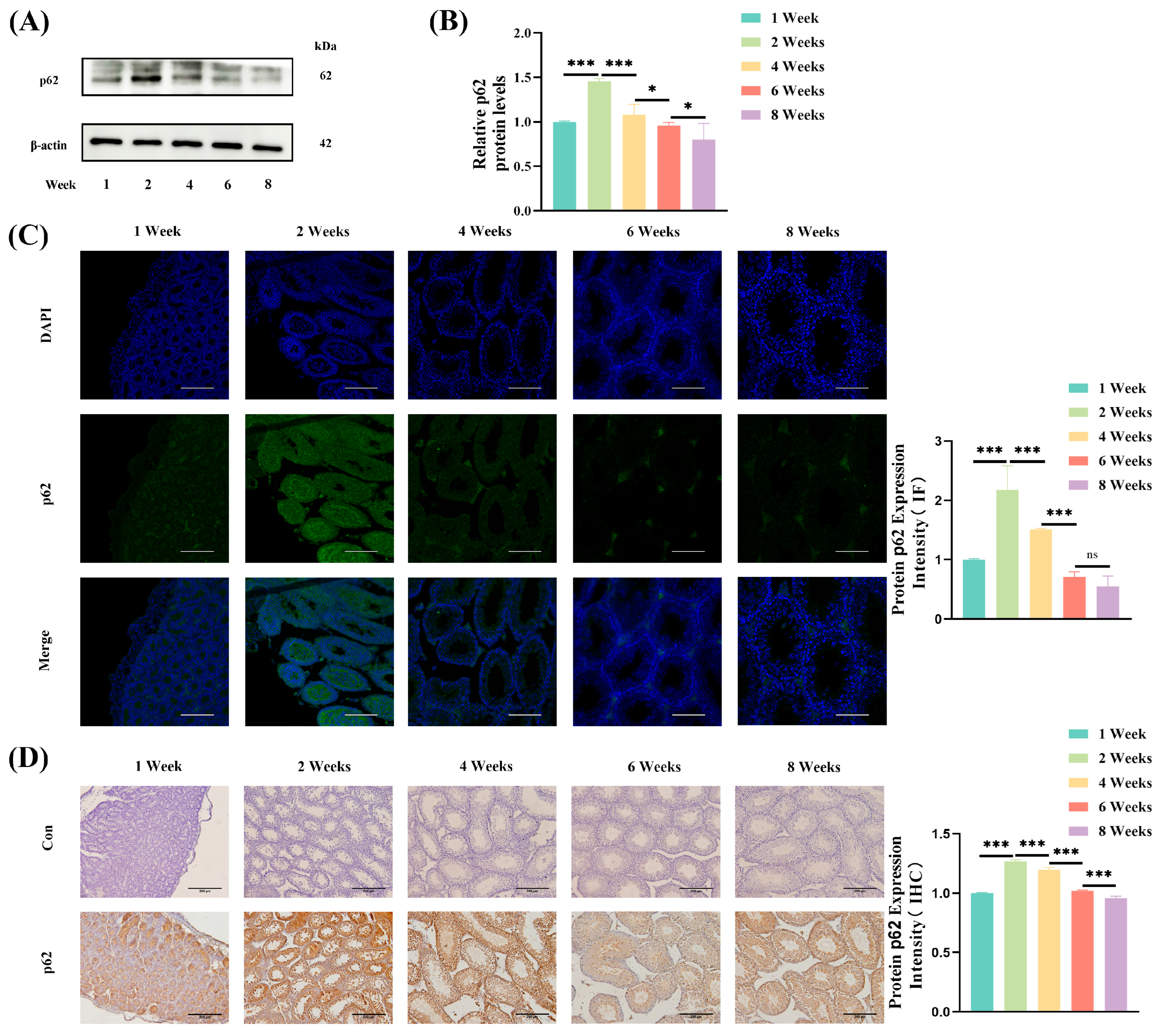 Jdb 13 00042 g005 Jdb 13 00042 g005