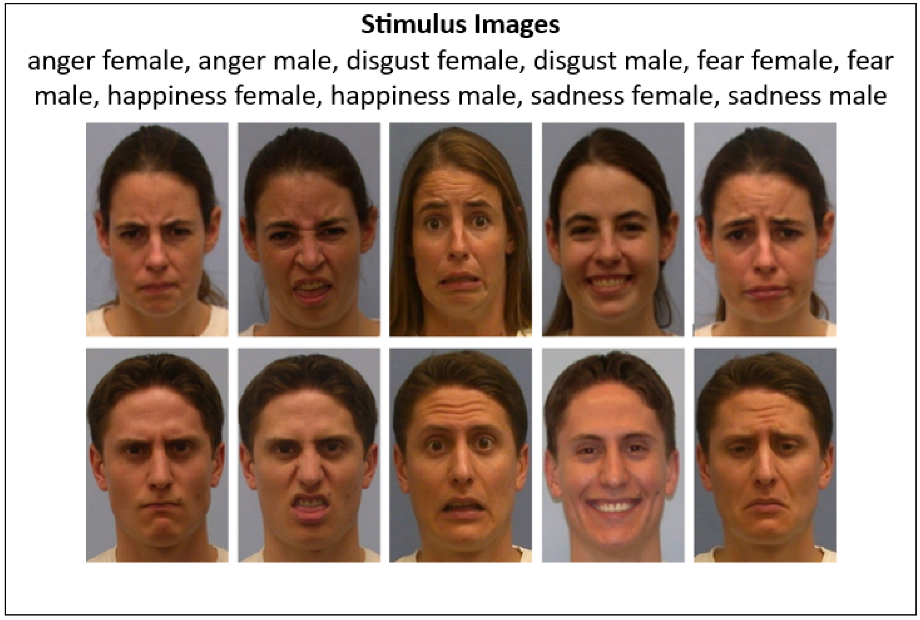 Jemr 18 00053 g001 Jemr 18 00053 g001