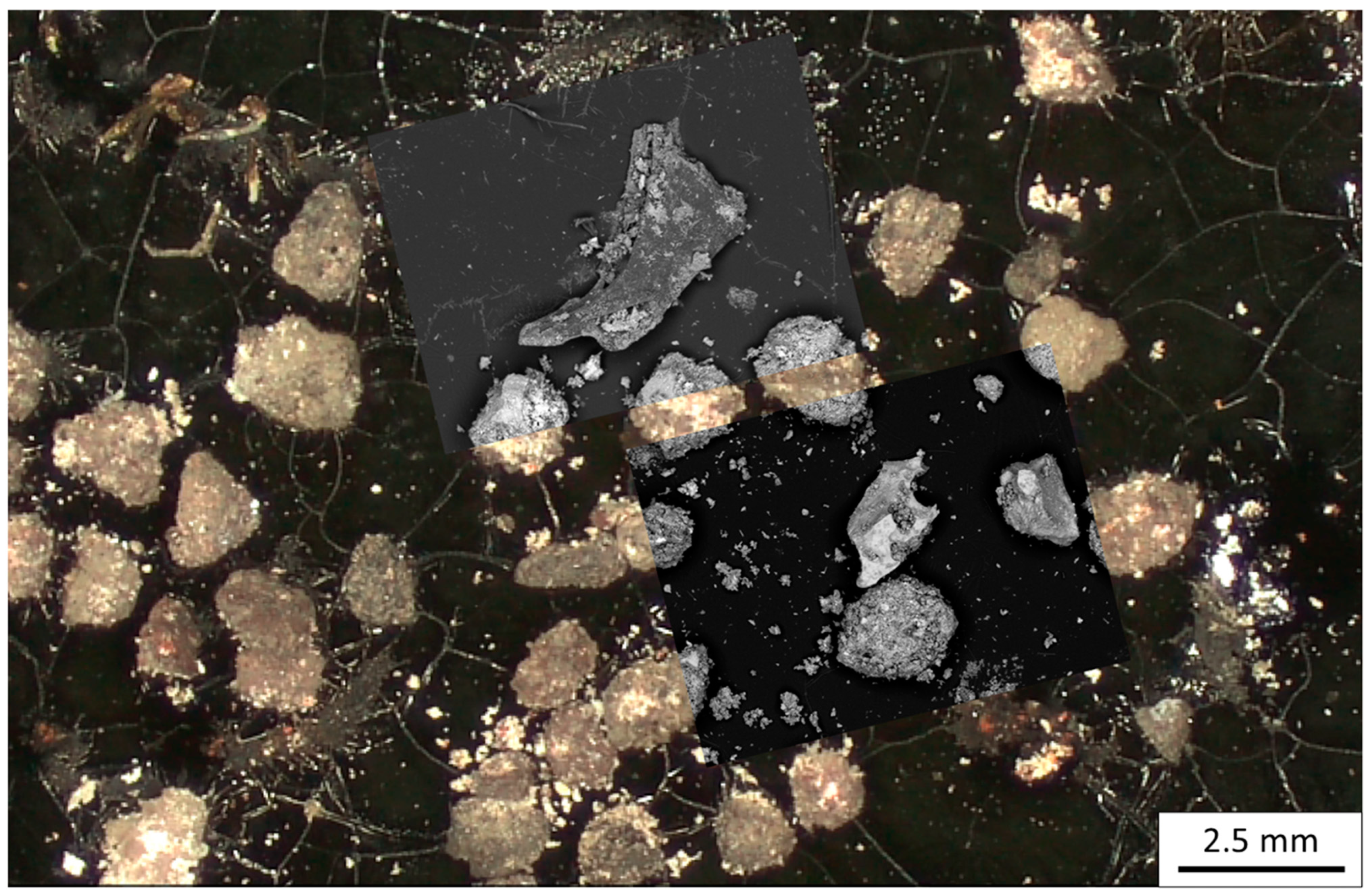 Jeta 01 00006 g005 Jeta 01 00006 g005