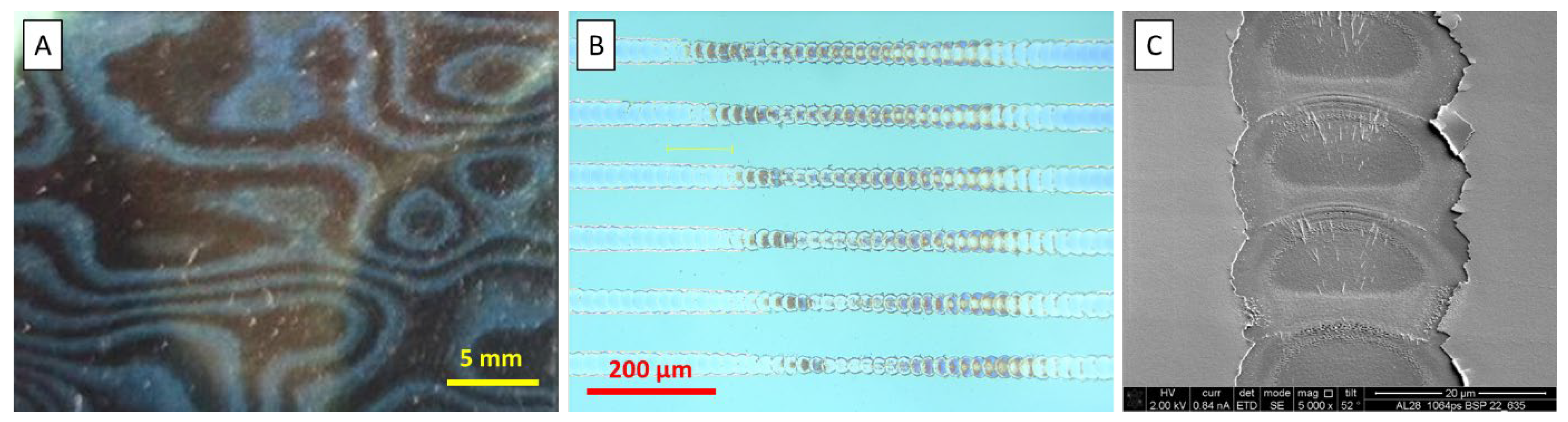 Jeta 03 00038 g001 Jeta 03 00038 g001