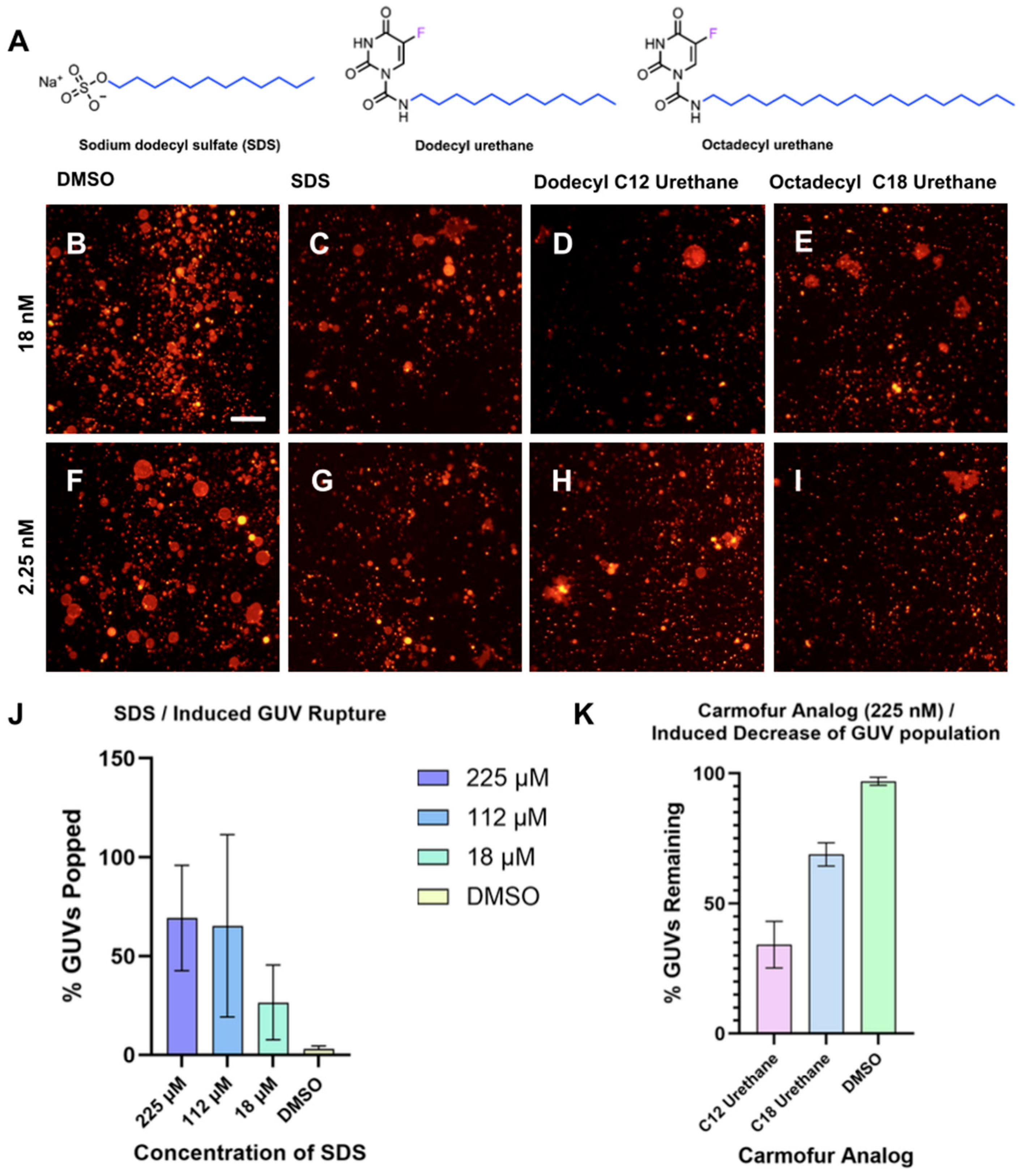 Jeta 04 00003 g005 Jeta 04 00003 g005