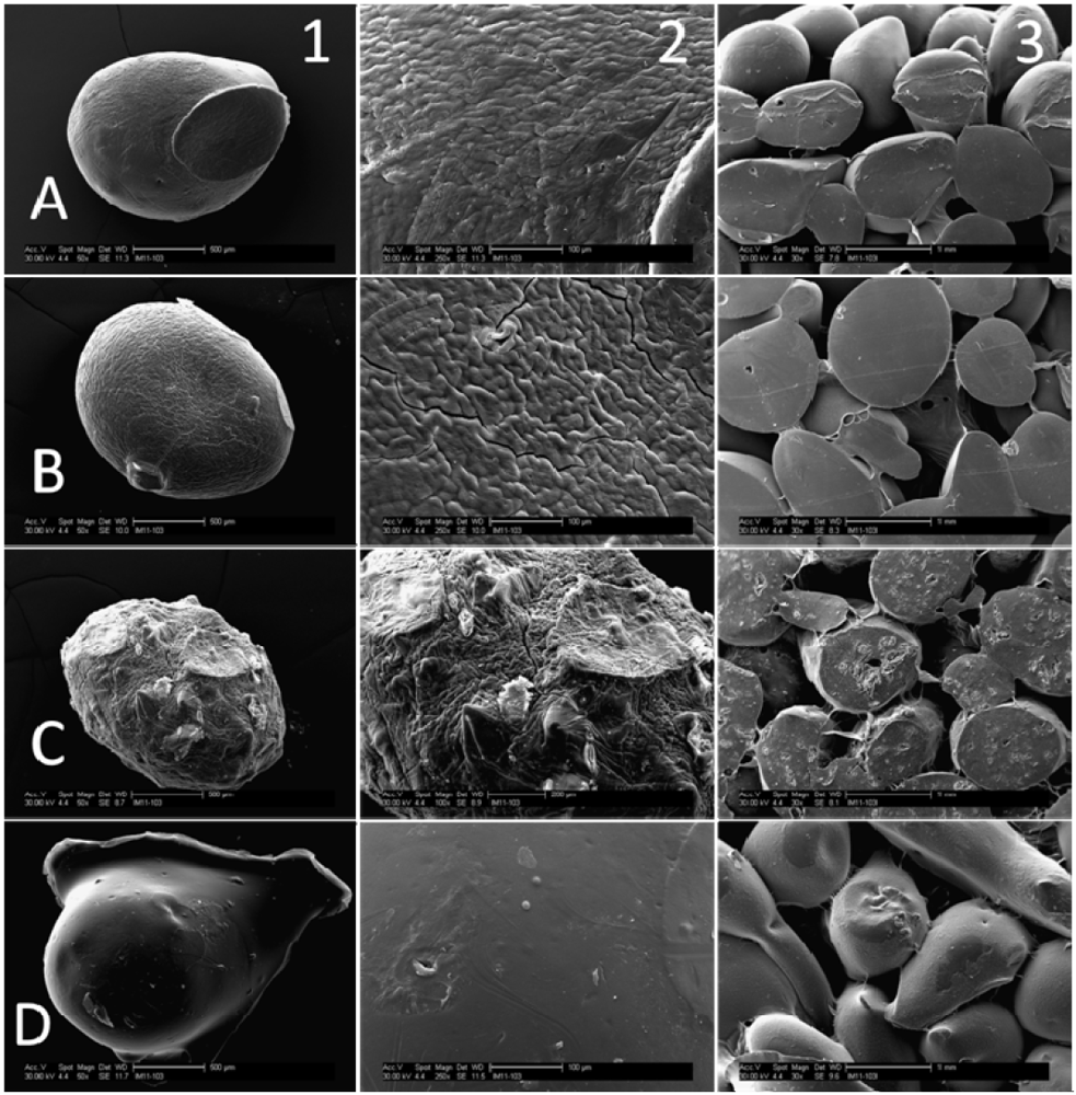 Jfb 03 00114 g003 1024