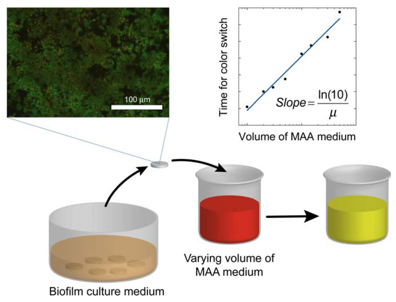 Jfb 03 00418 g001 1024