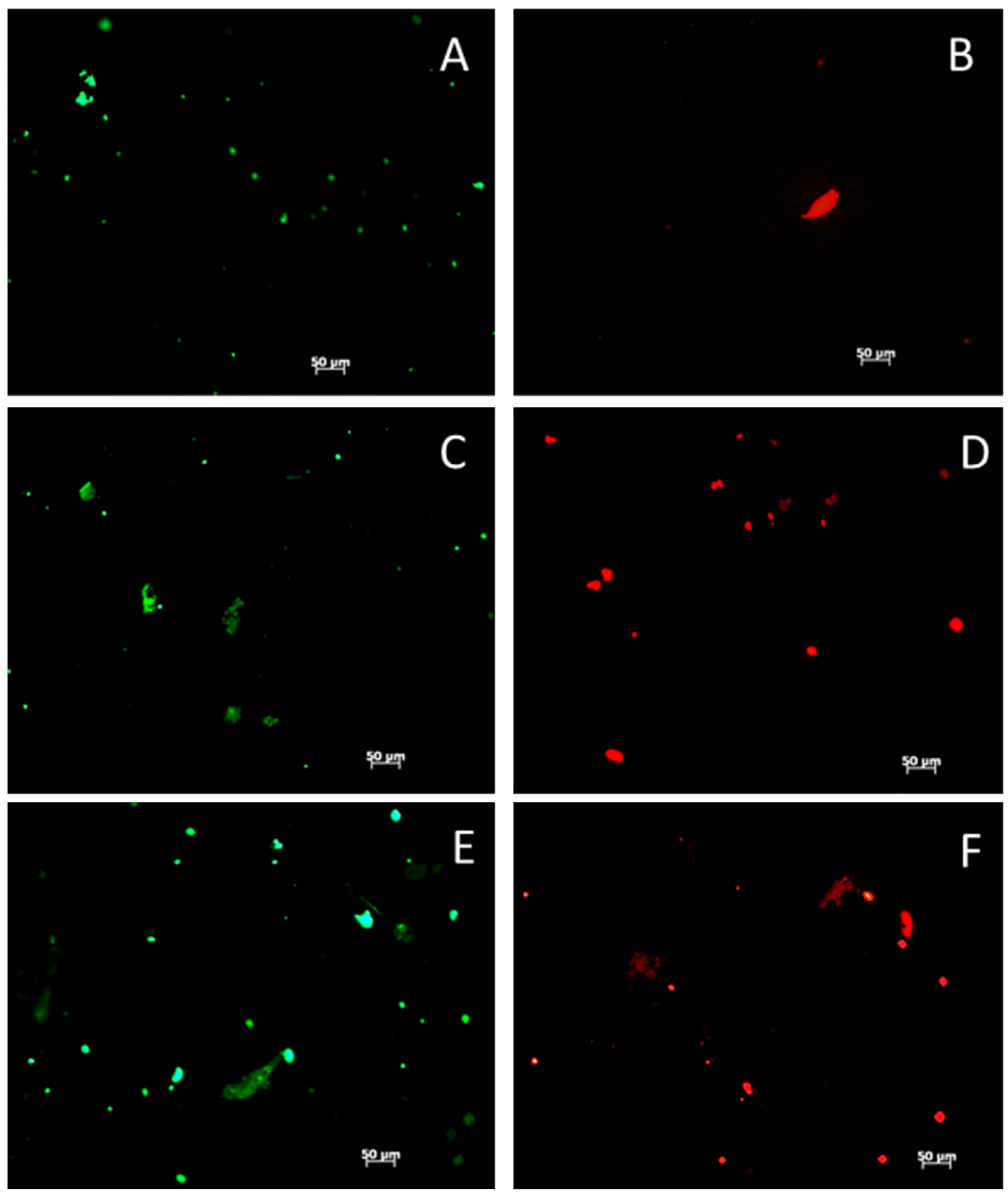 Jfb 03 00776 g009 1024