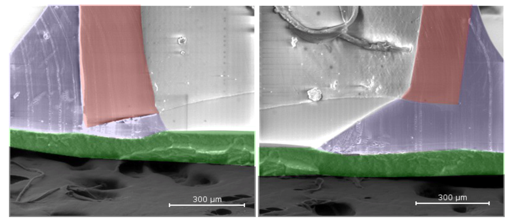 Jfb 04 00014 g003 1024