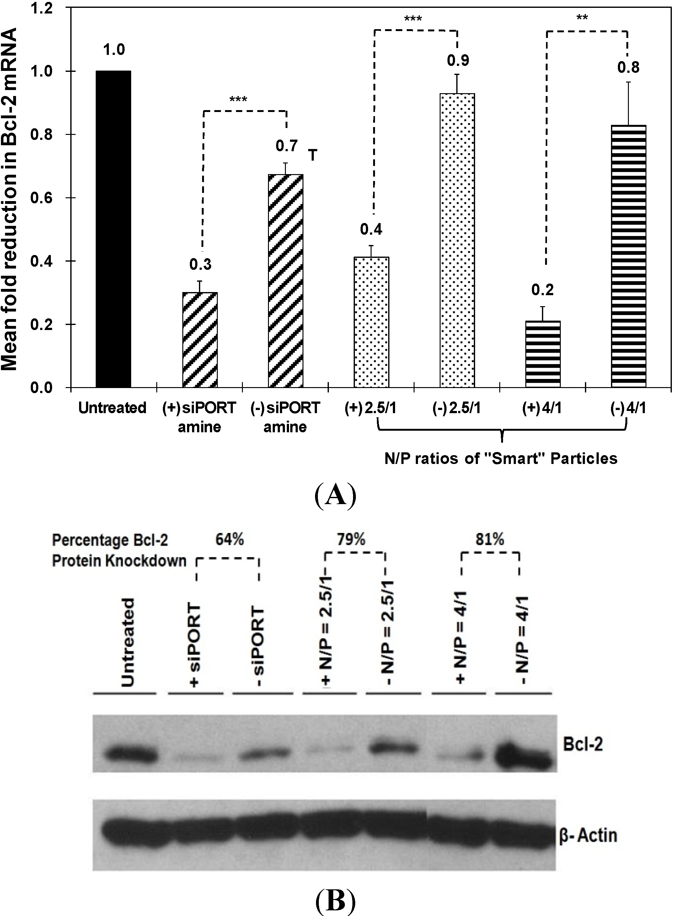 Jfb 05 00167 g004 1024