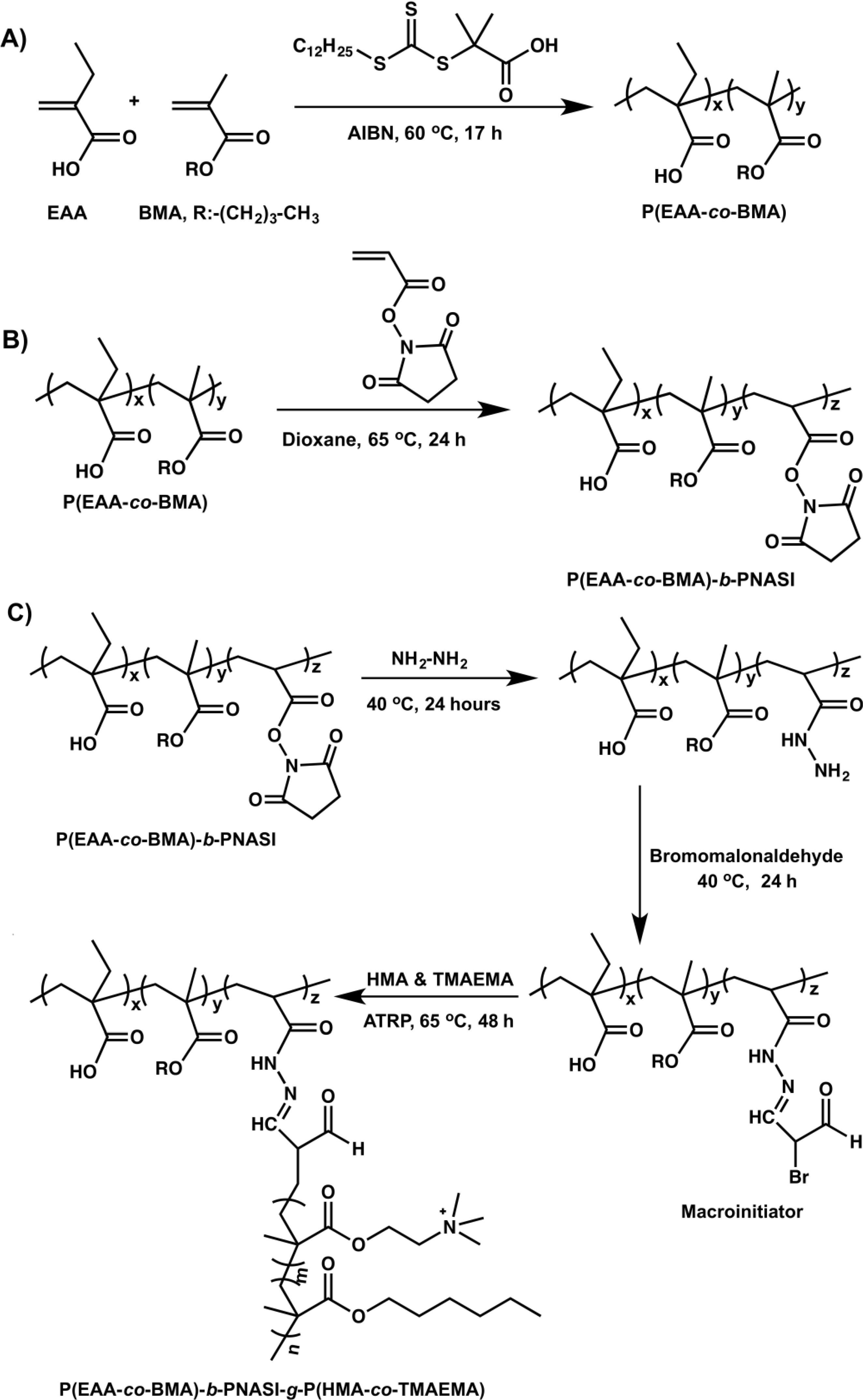 Jfb 05 00167 g007 1024