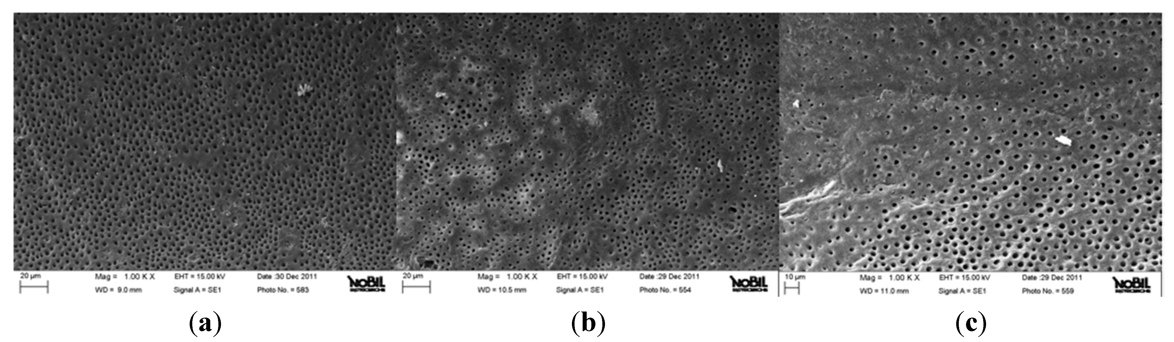 Jfb 06 00066 g001 550