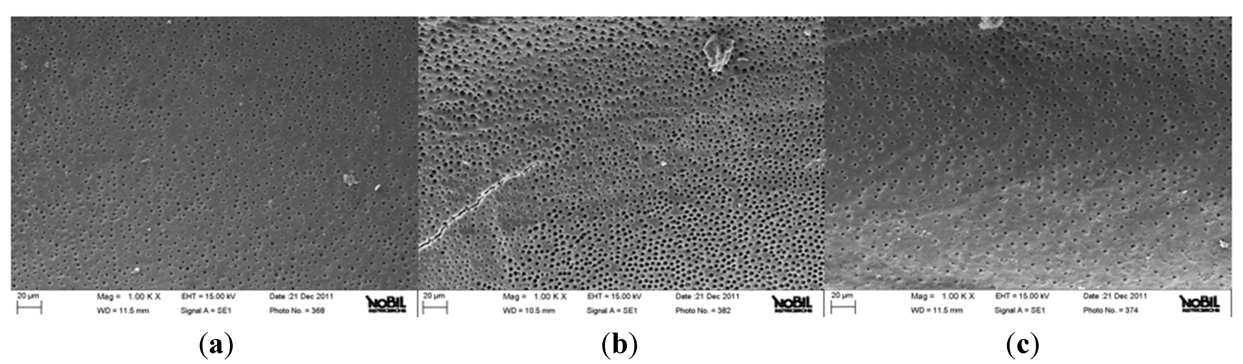 Jfb 06 00066 g002 550