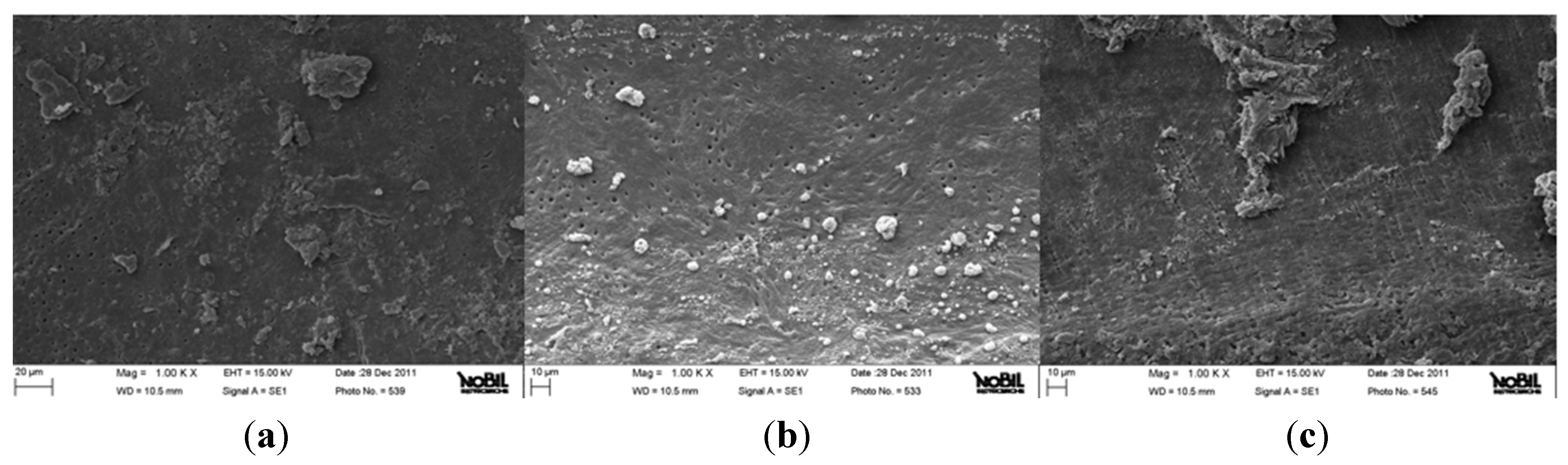 Jfb 06 00066 g003 550