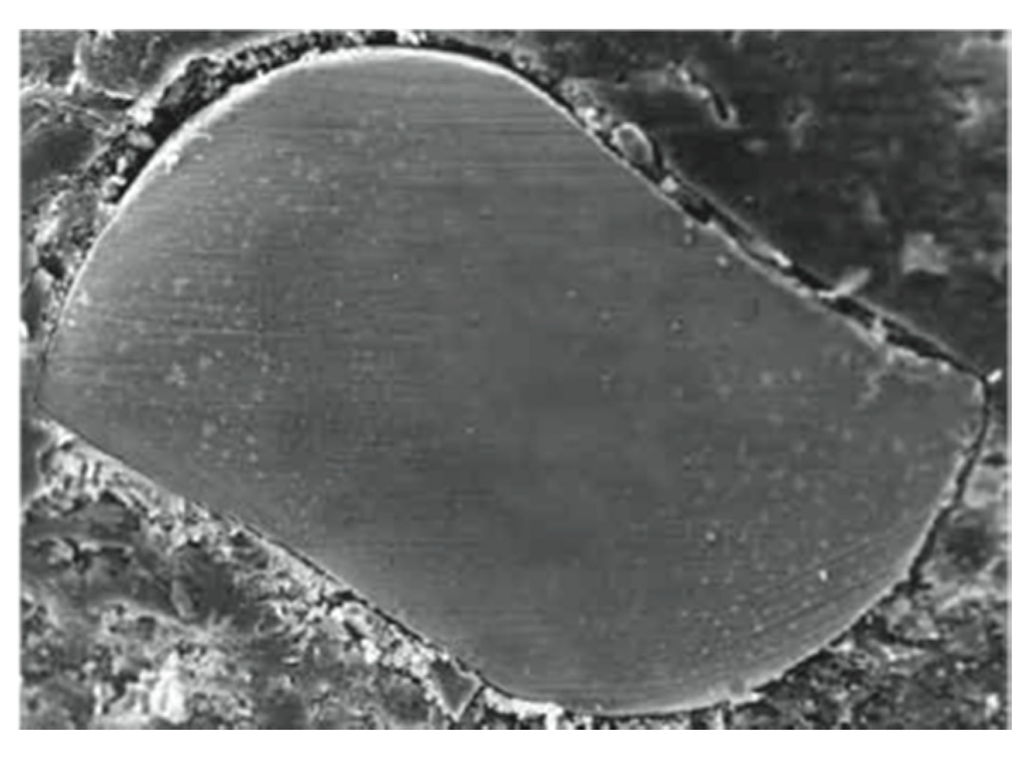 Jfb 06 00066 g004 550