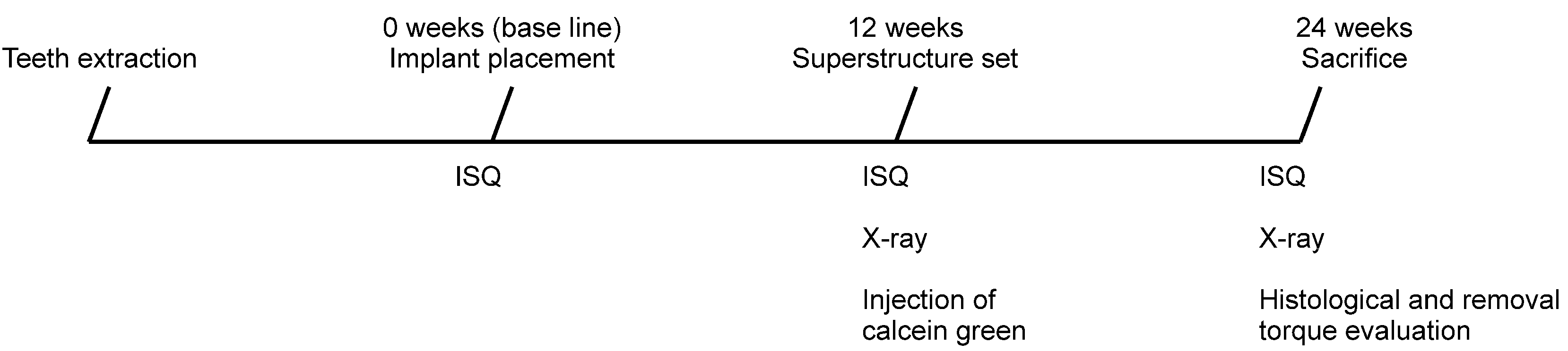 Jfb 06 00623 g006 550