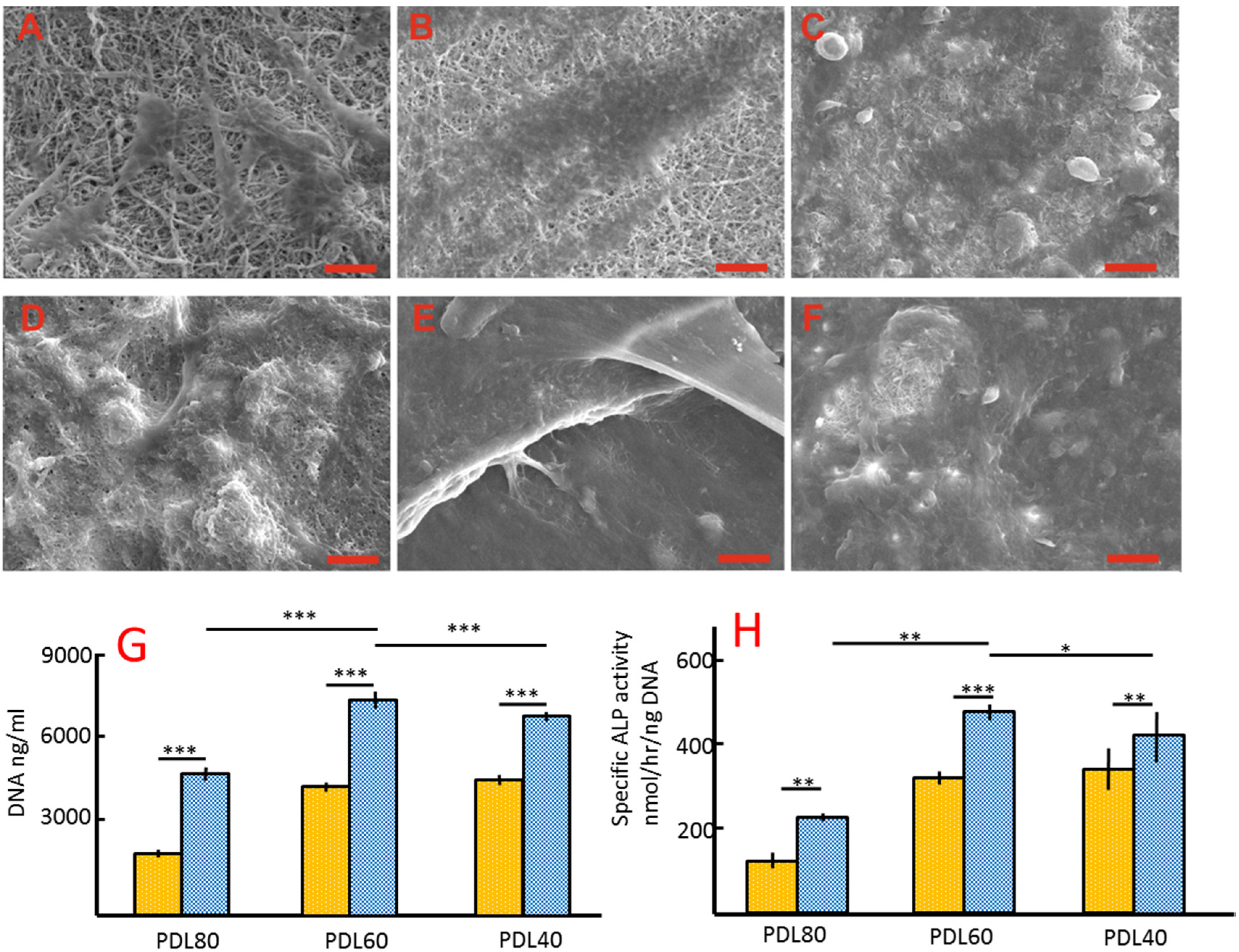 Jfb 06 00667 g005 550