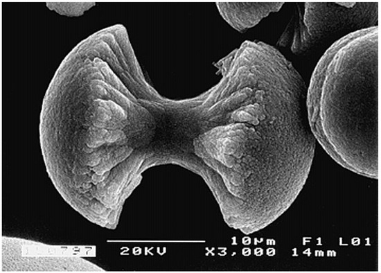 ※カイト Calcium Orthophosphate (CaPO4) Containing Composites for