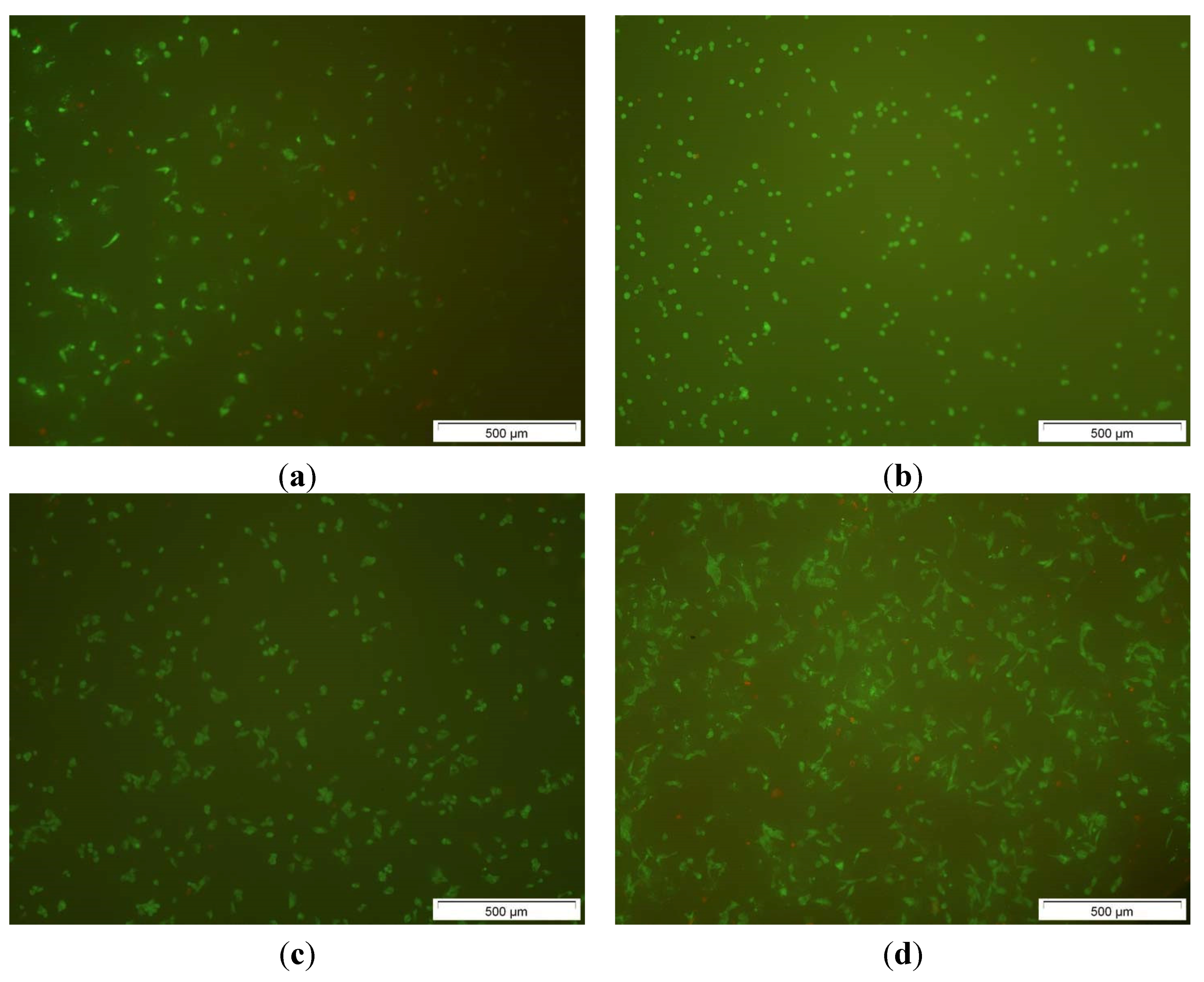 Jfb 06 01085 g008 550