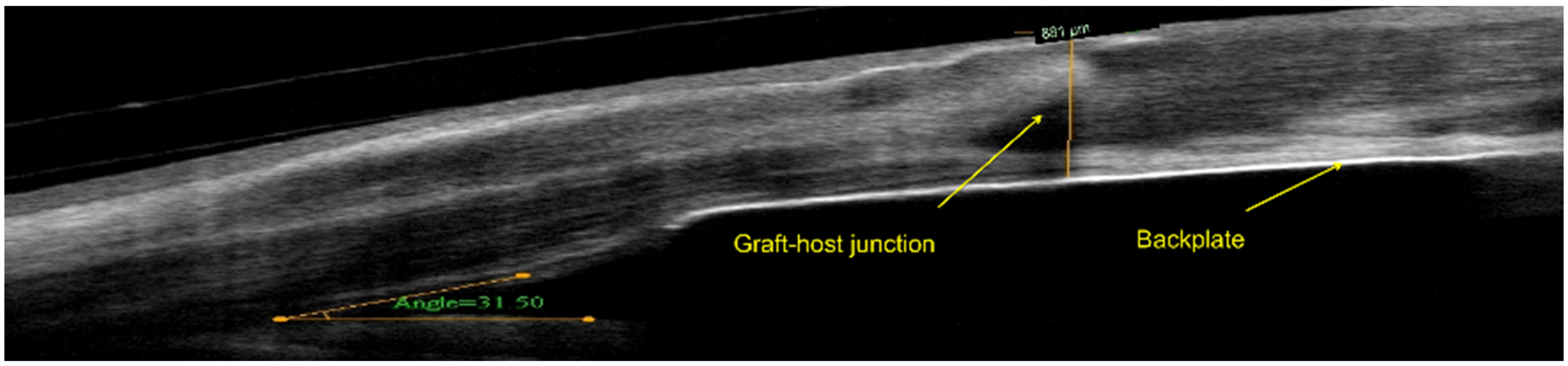 Jfb 07 00013 g002 550