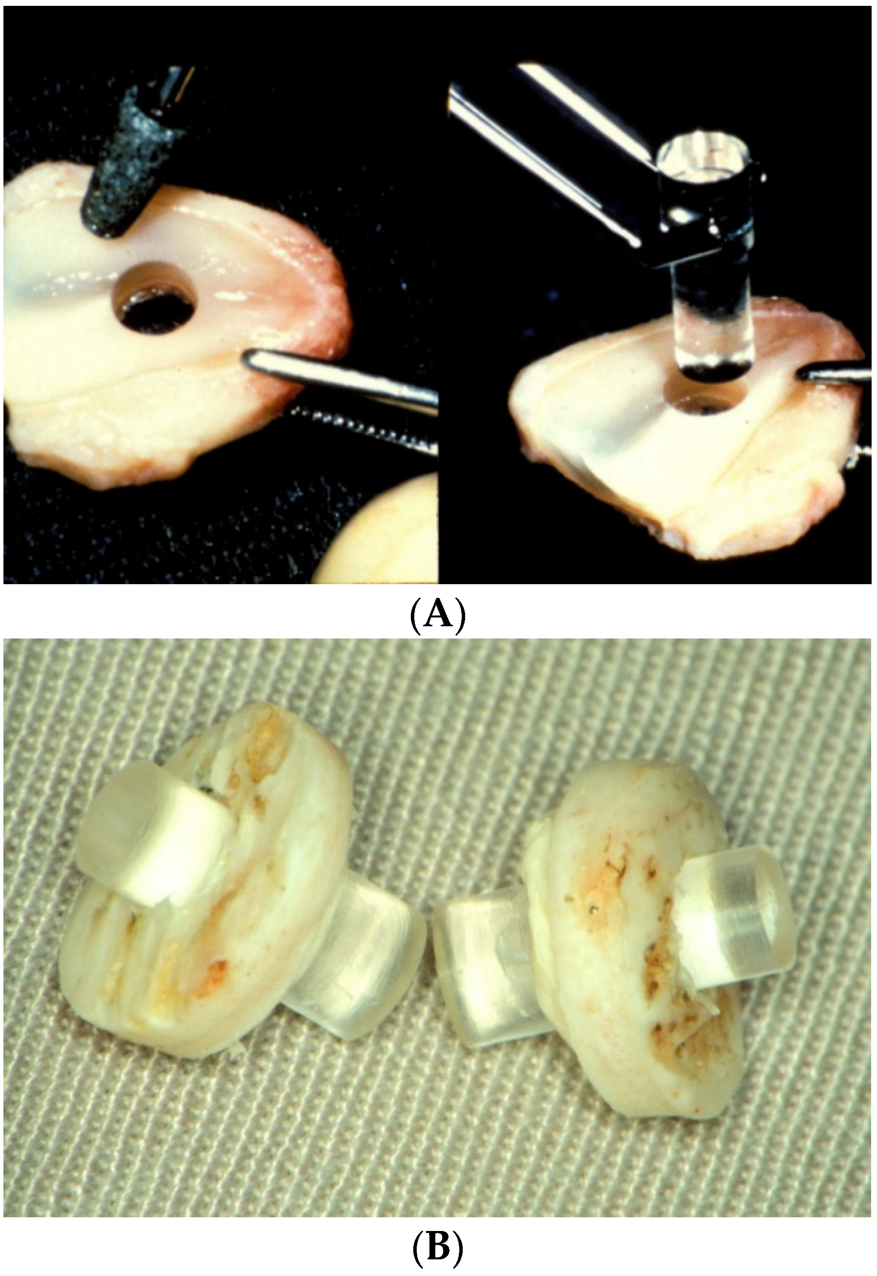 Jfb 07 00013 g008 550